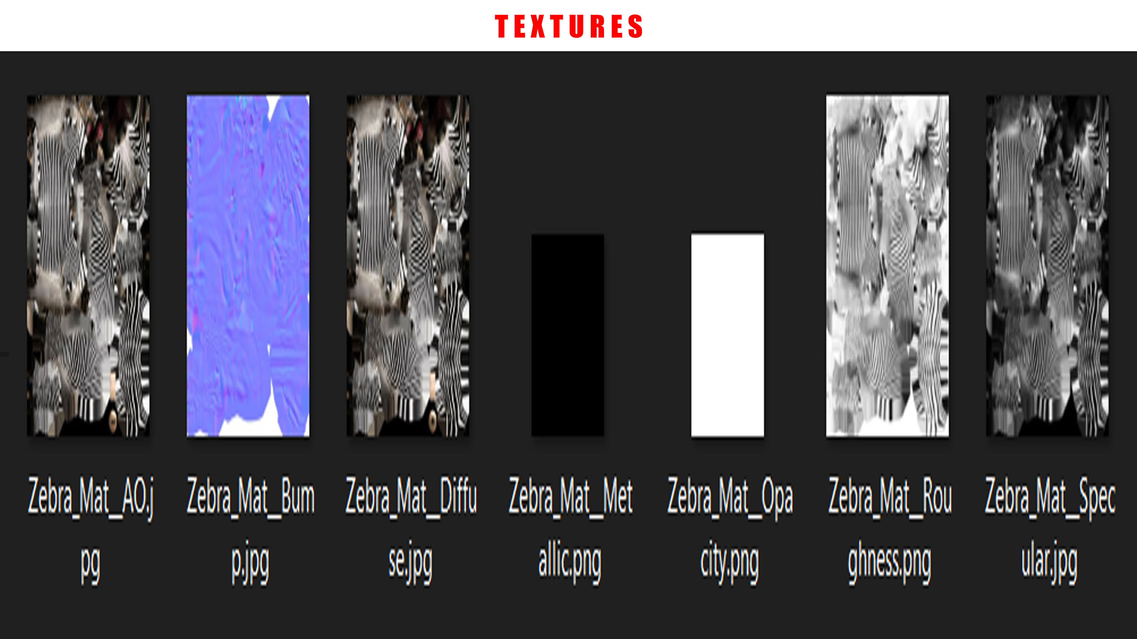 ZEBRA RIGGED ANIMATED 13 Low-poly 3D model_13