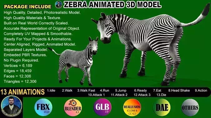 ZEBRA RIGGED ANIMATED 13 Low-poly 3D model