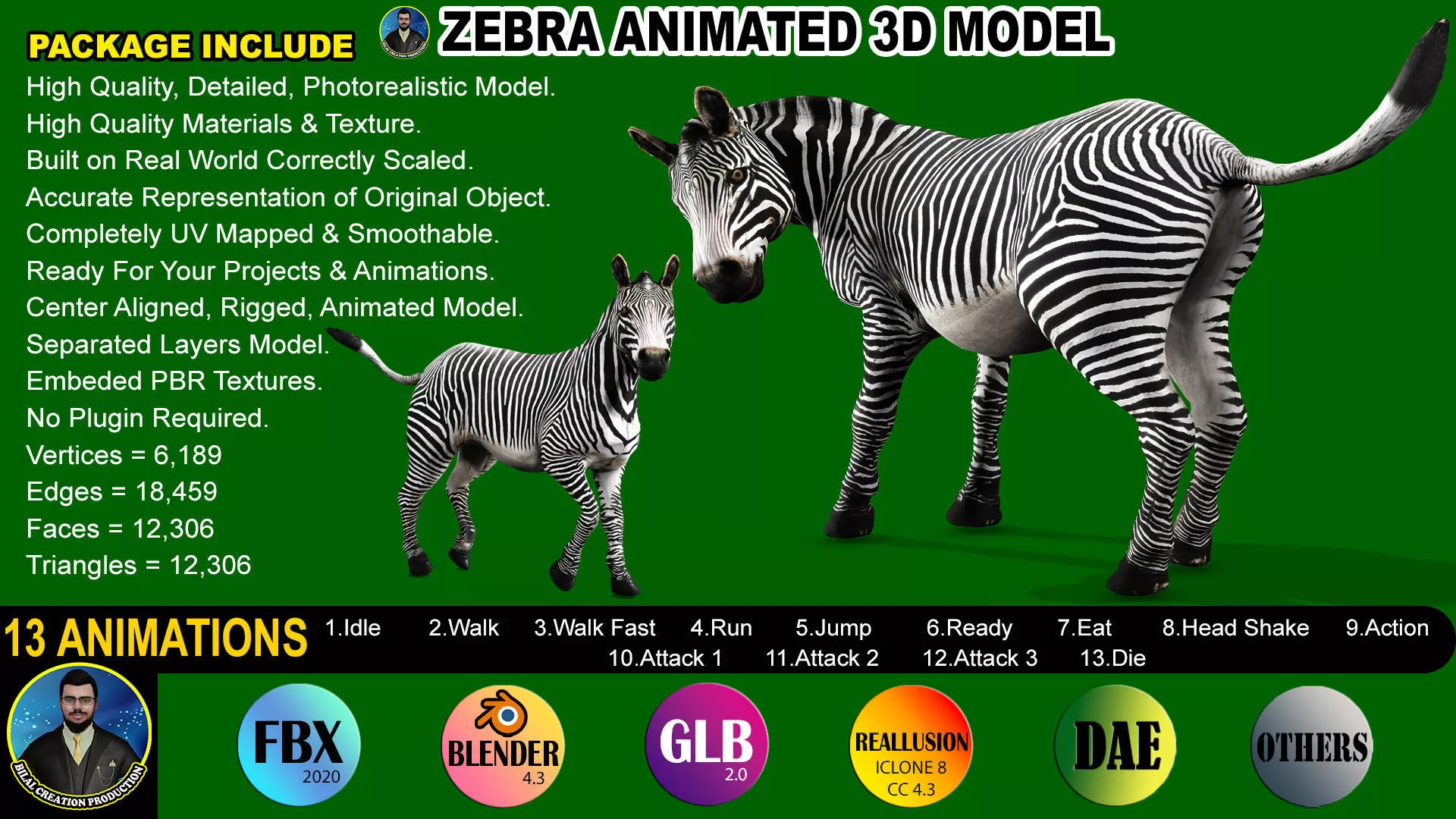 ZEBRA RIGGED ANIMATED 13 Low-poly 3D model_0