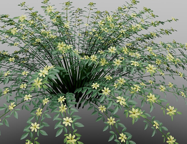 Yellow Branch Plant Model 3D model