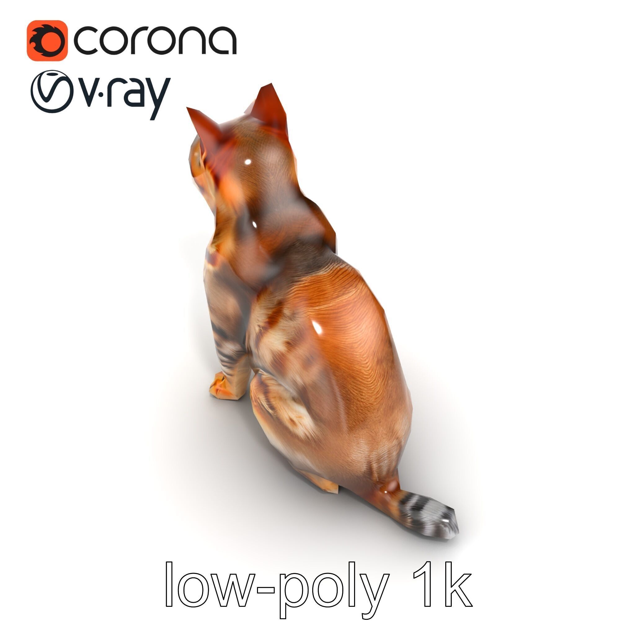 Domestic Cat Realistic D Model Pack Low-poly 3D model_28