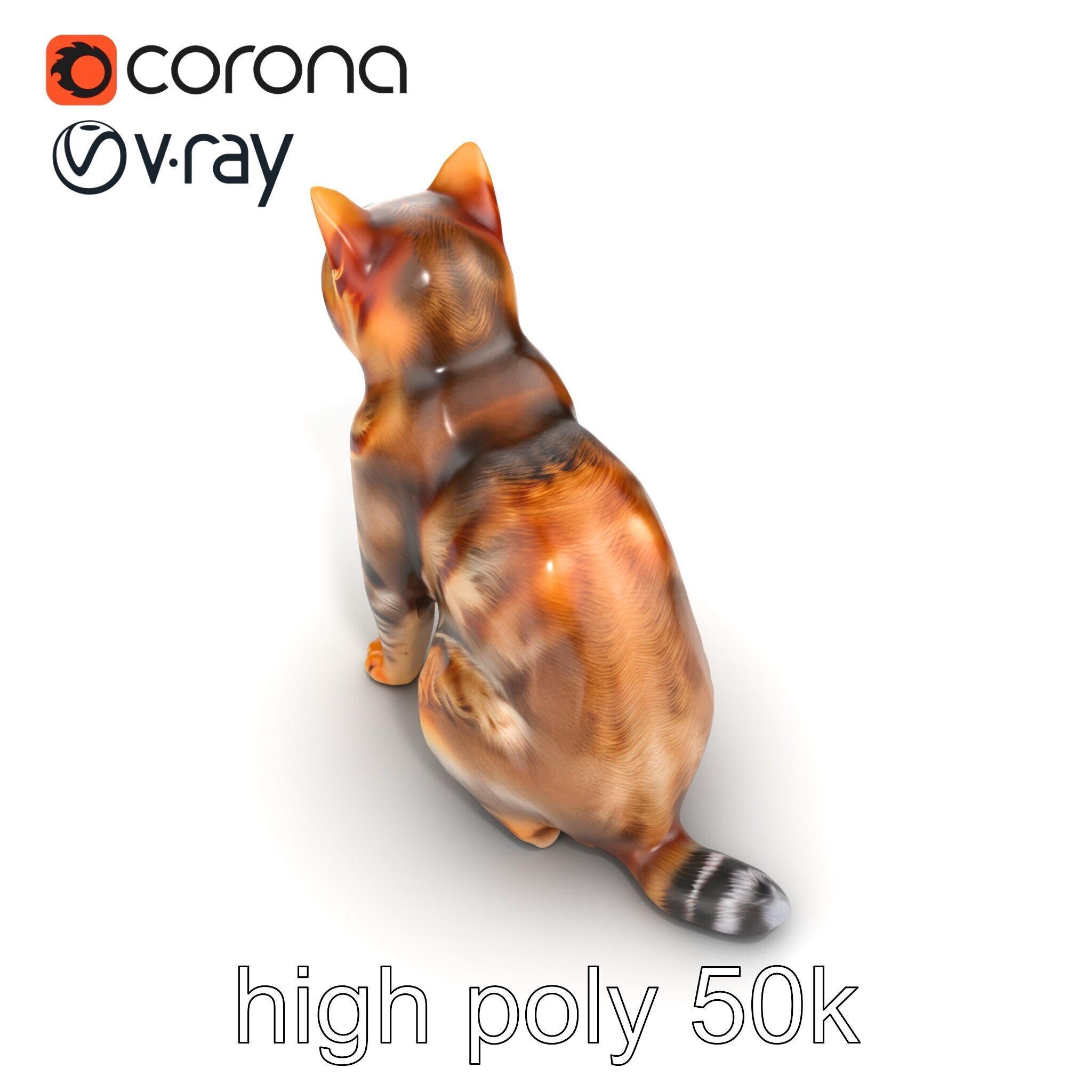 Domestic Cat Realistic D Model Pack Low-poly 3D model_27