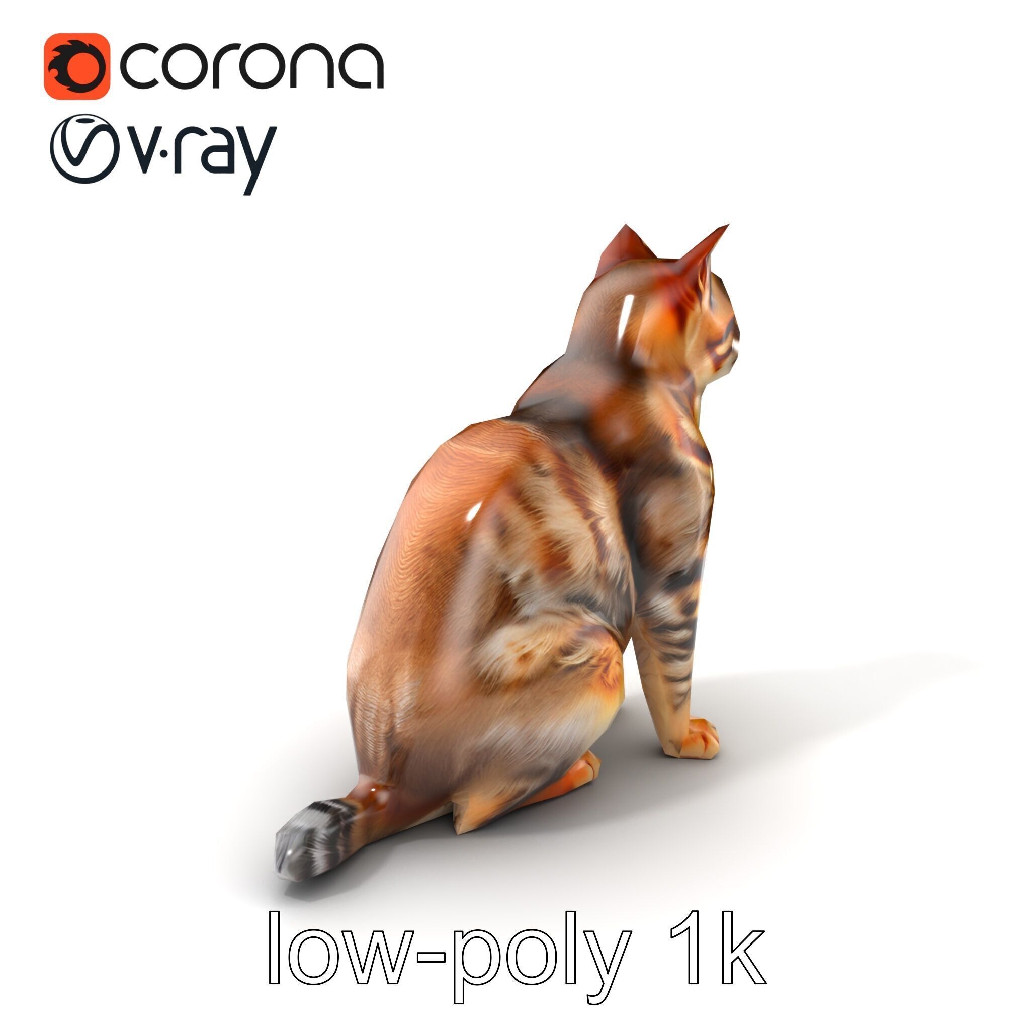 Domestic Cat Realistic D Model Pack Low-poly 3D model_5