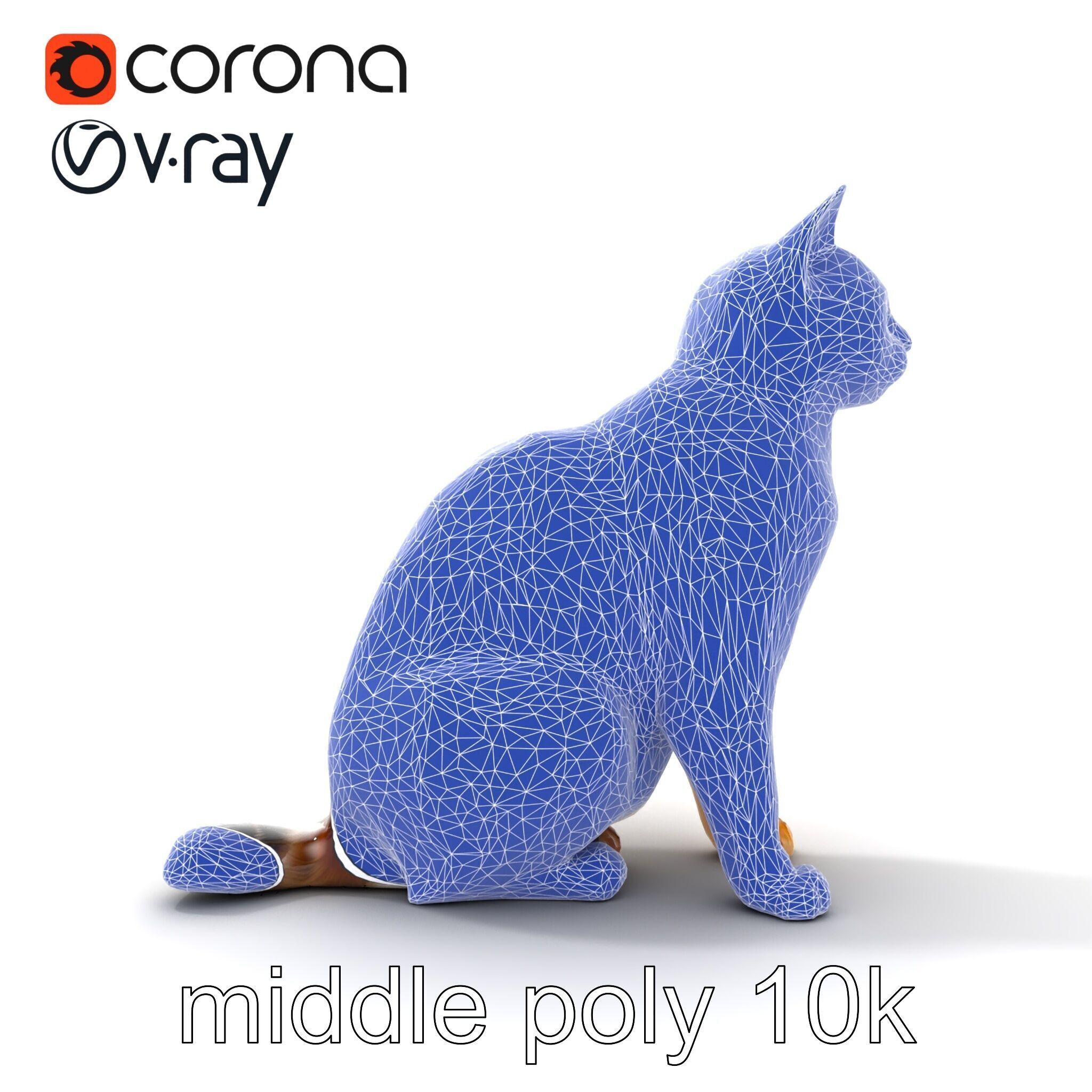 Domestic Cat Realistic D Model Pack Low-poly 3D model_30