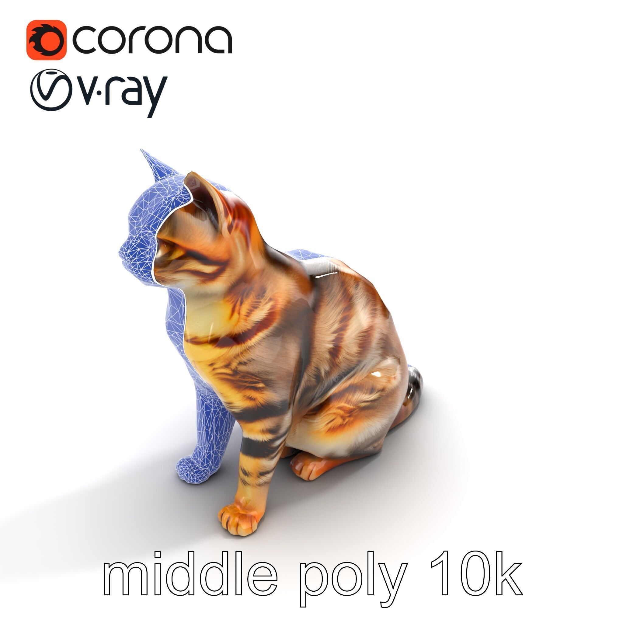 Domestic Cat Realistic D Model Pack Low-poly 3D model_12