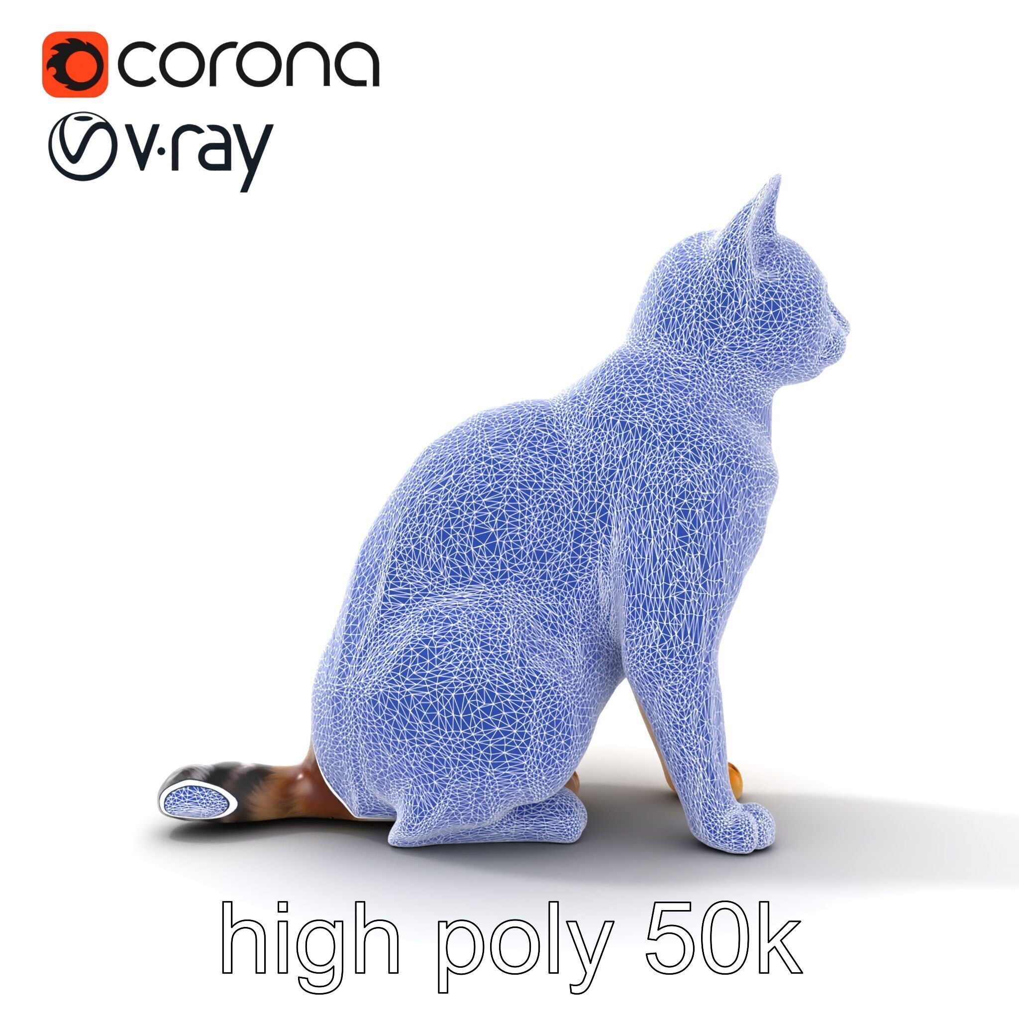 Domestic Cat Realistic D Model Pack Low-poly 3D model_23