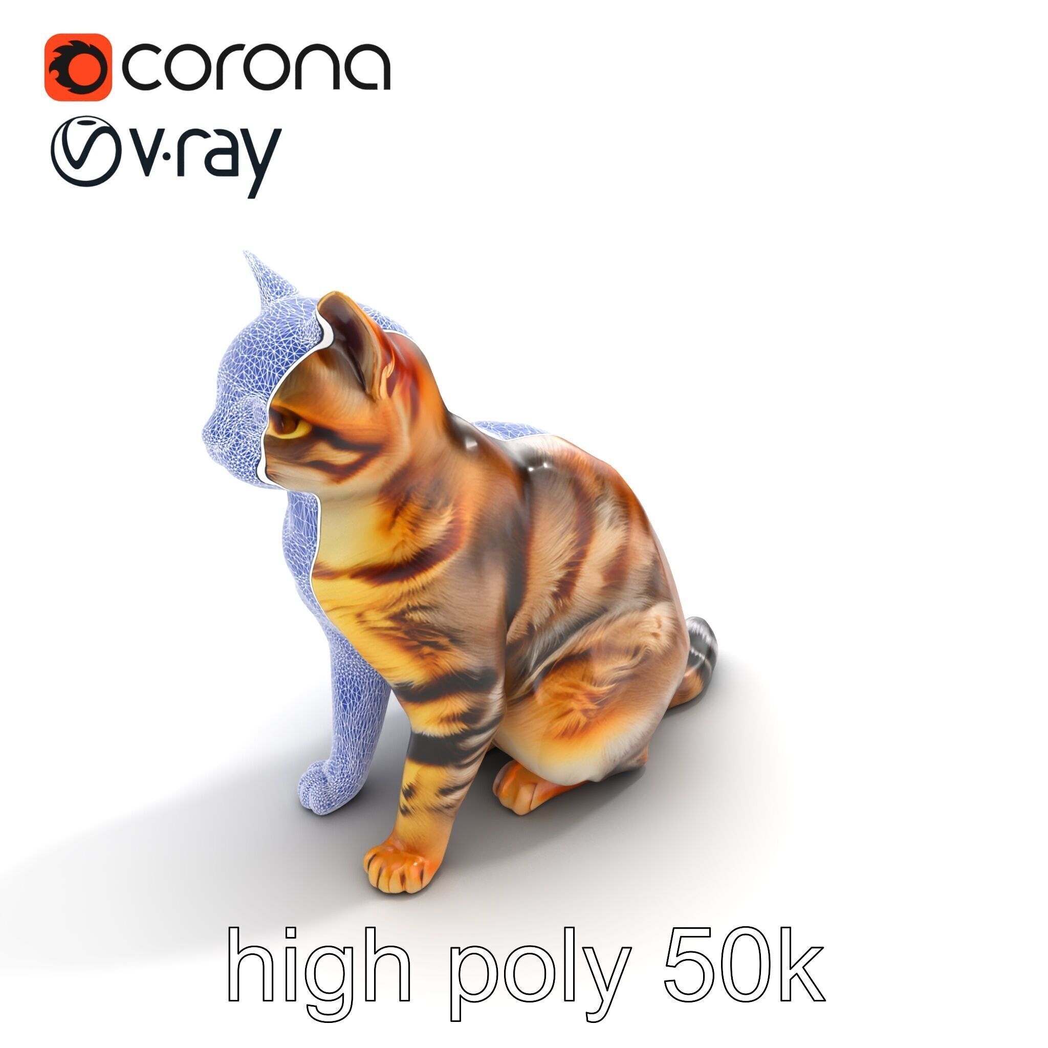 Domestic Cat Realistic D Model Pack Low-poly 3D model_16
