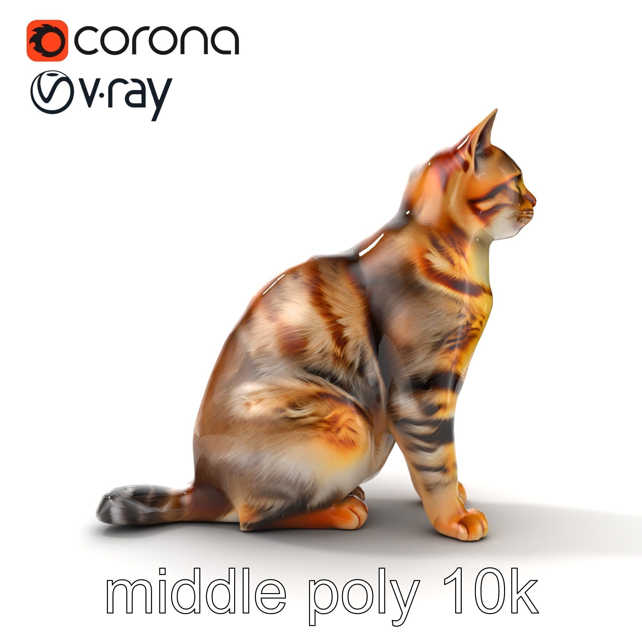 Domestic Cat Realistic D Model Pack Low-poly 3D model_31