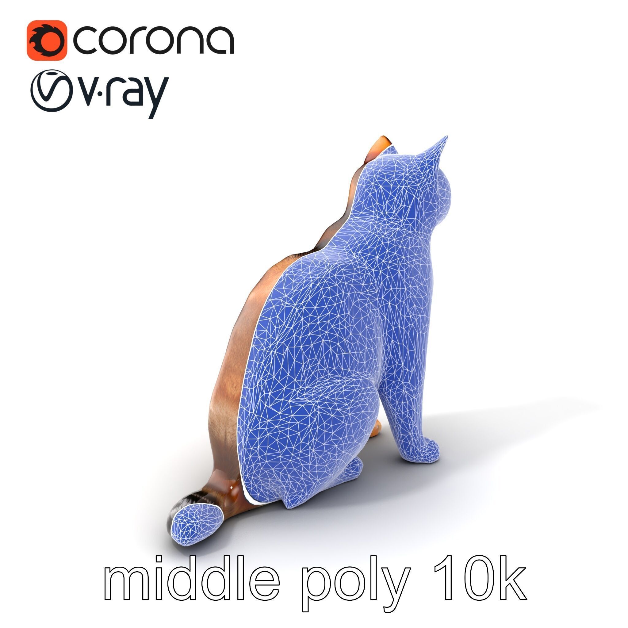 Domestic Cat Realistic D Model Pack Low-poly 3D model_6