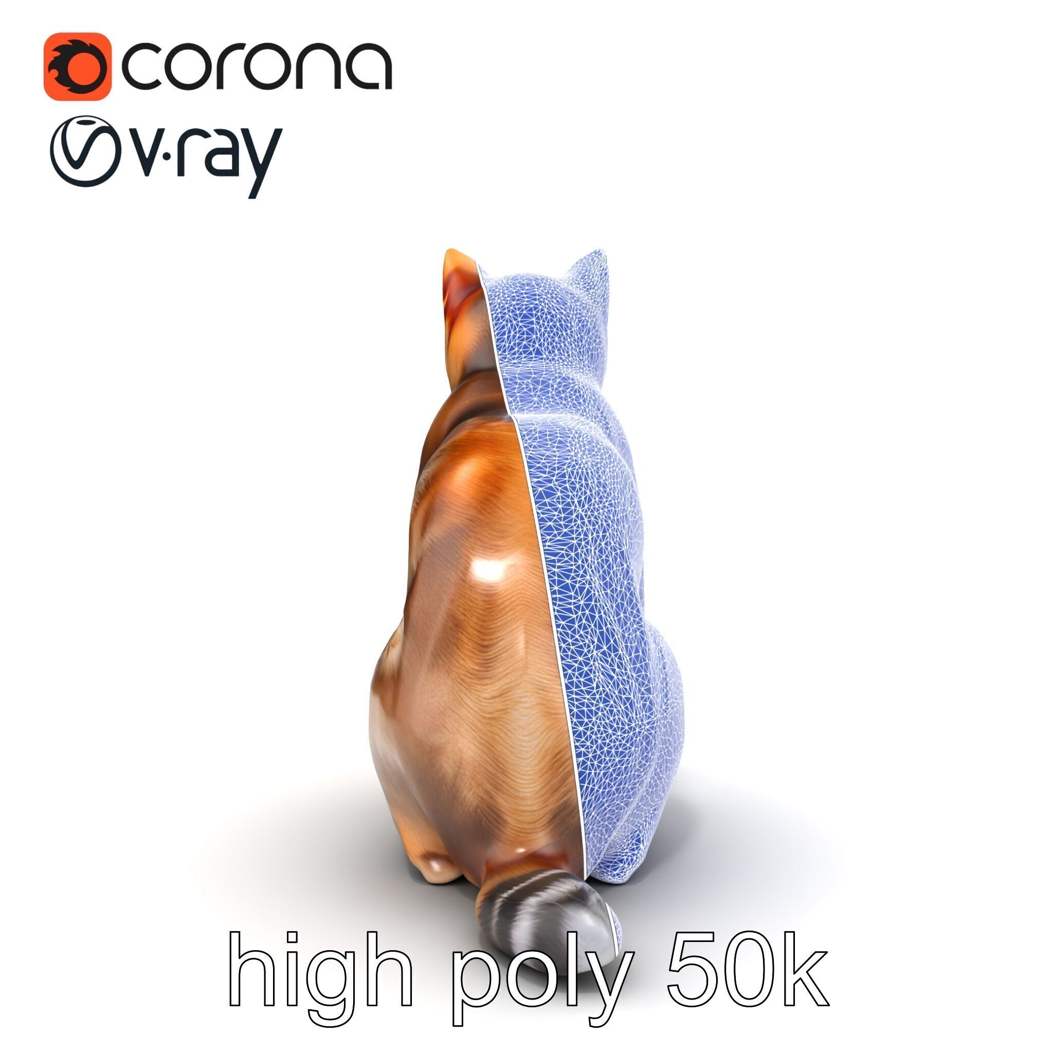 Domestic Cat Realistic D Model Pack Low-poly 3D model_21