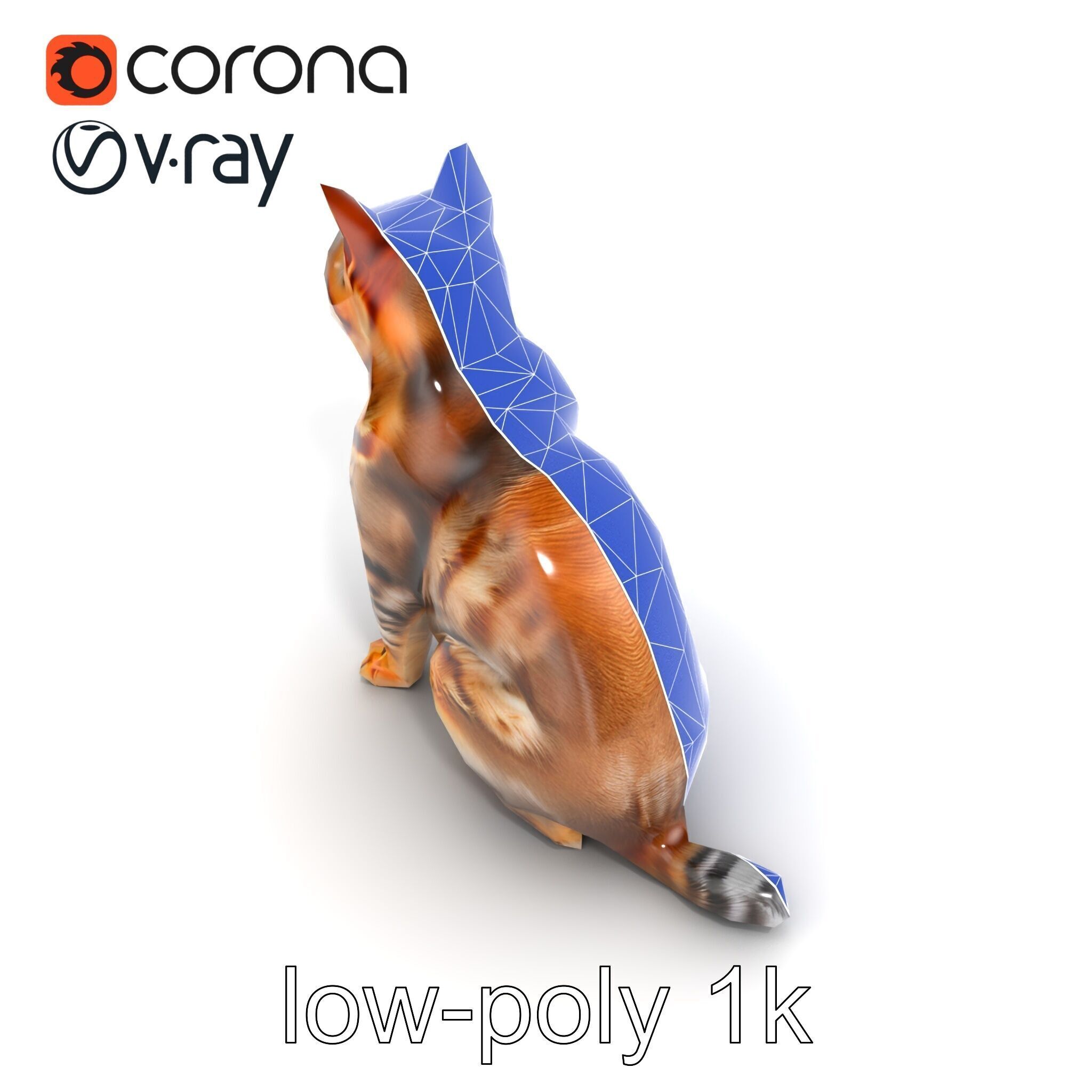 Domestic Cat Realistic D Model Pack Low-poly 3D model_17