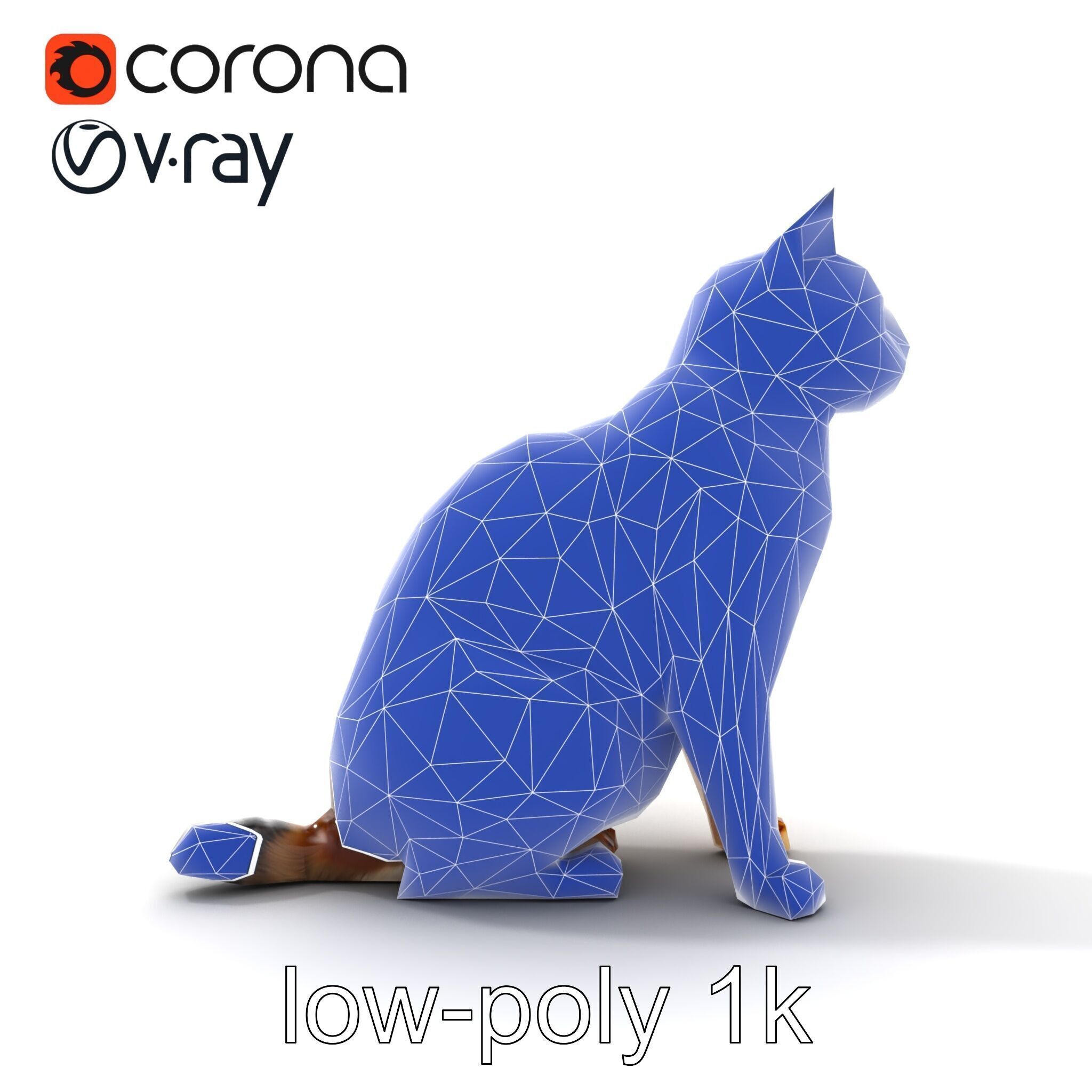 Domestic Cat Realistic D Model Pack Low-poly 3D model_20