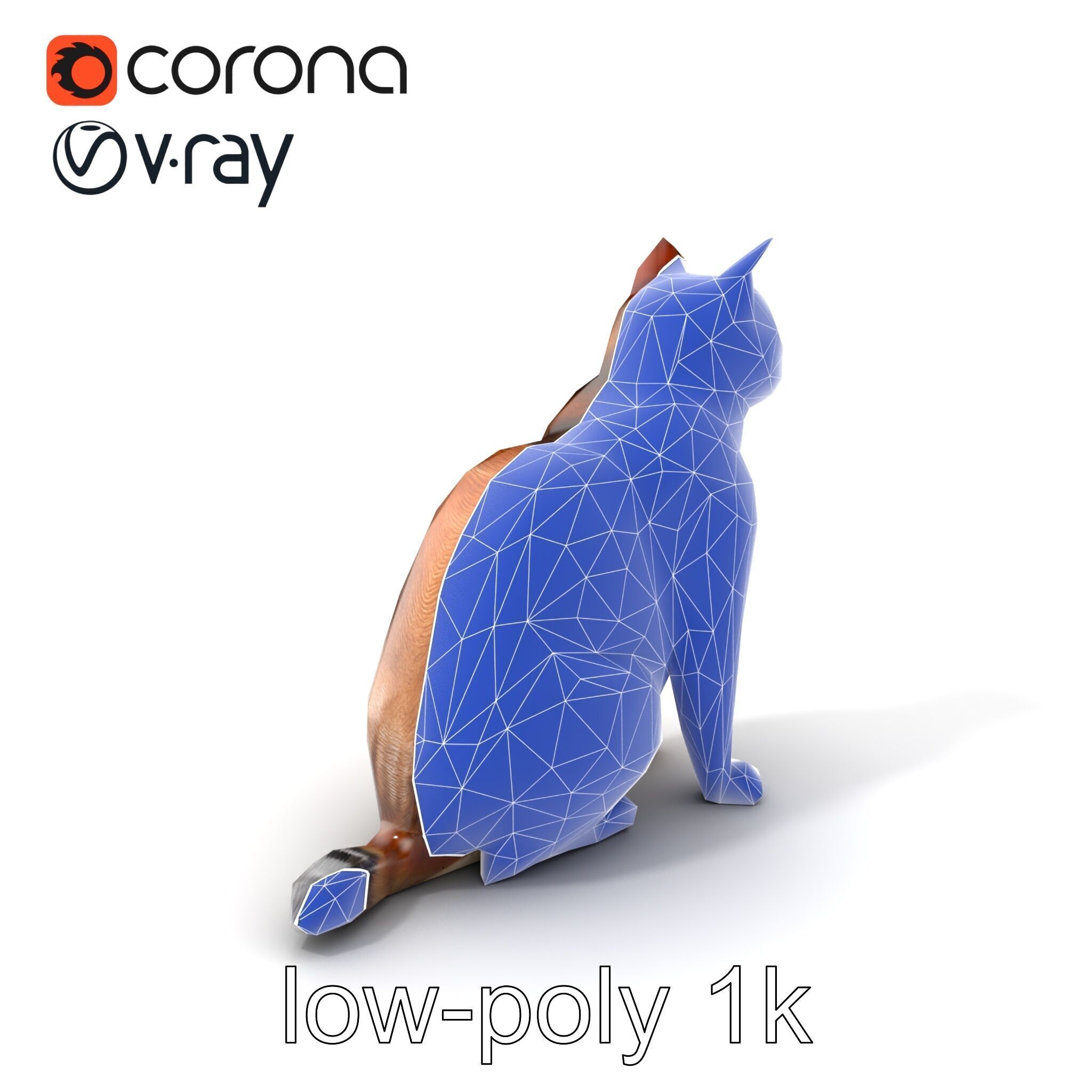Domestic Cat Realistic D Model Pack Low-poly 3D model_7