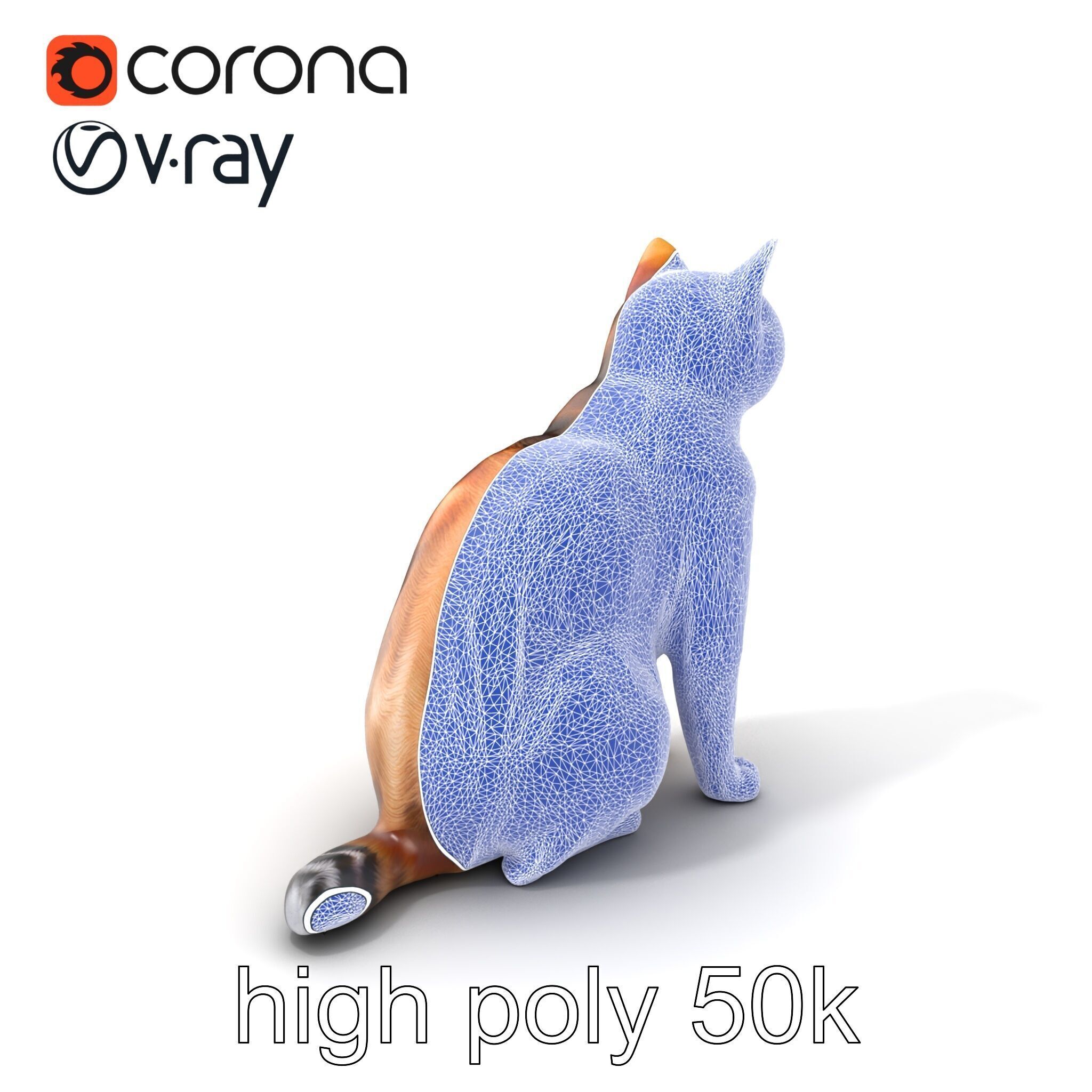 Domestic Cat Realistic D Model Pack Low-poly 3D model_10