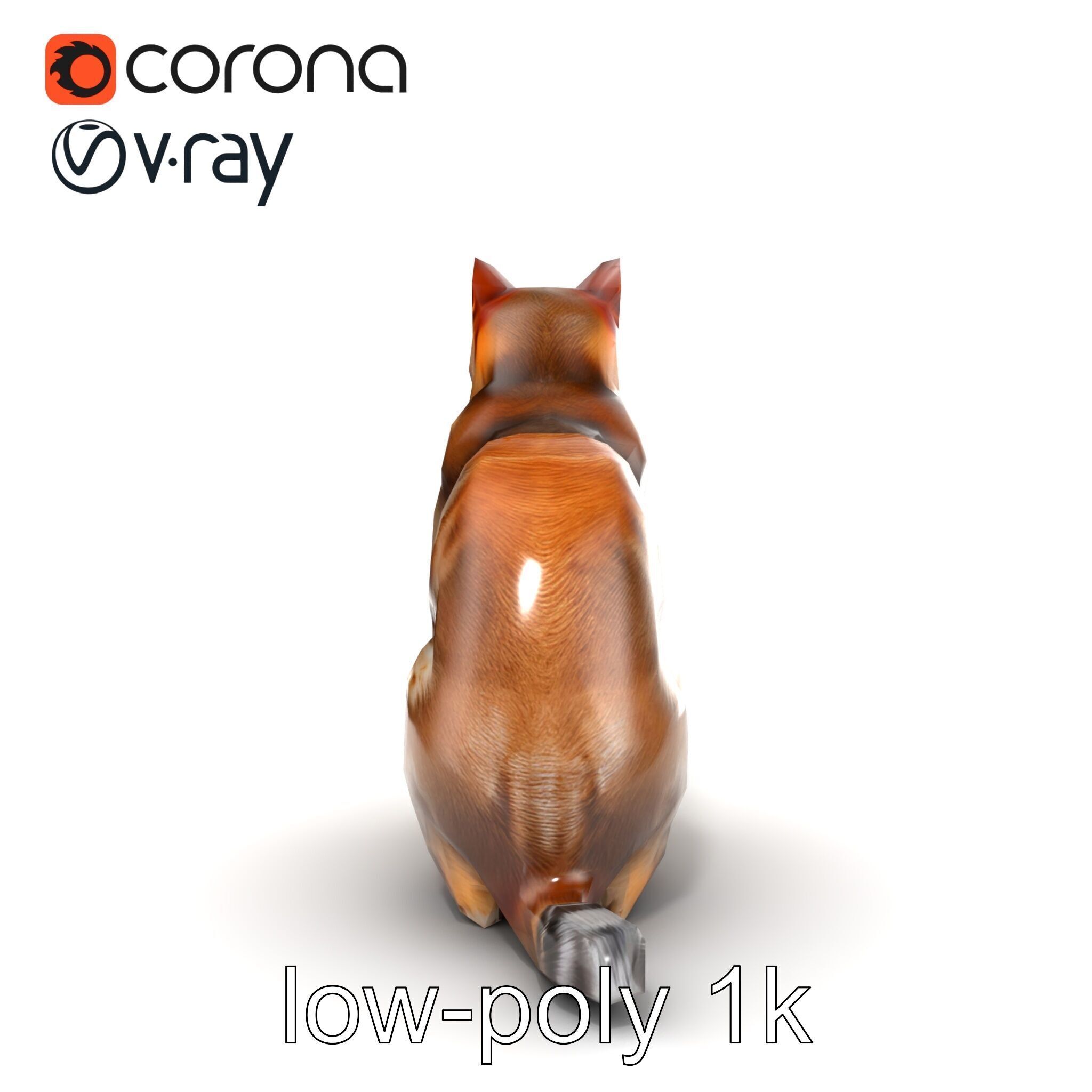 Domestic Cat Realistic D Model Pack Low-poly 3D model_22