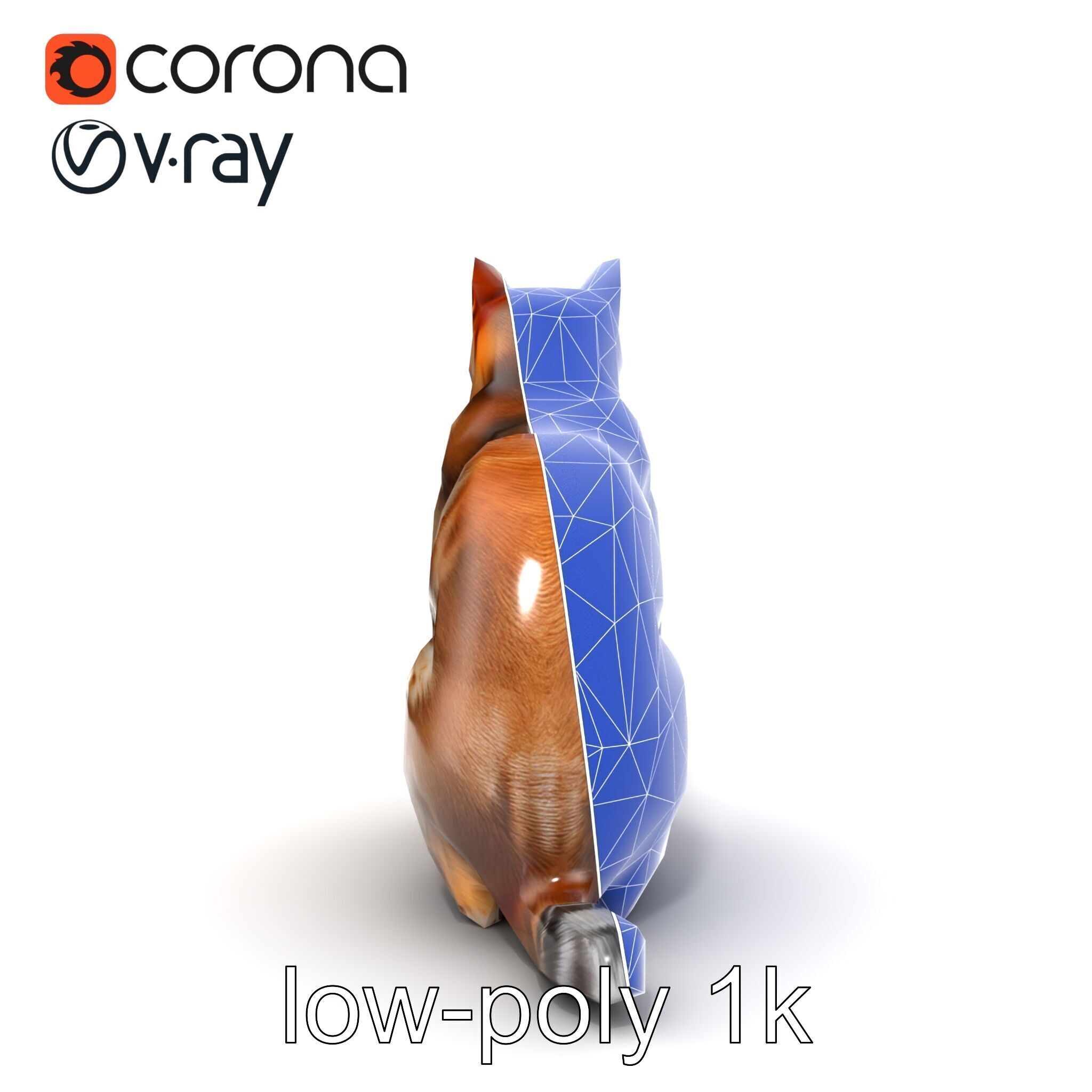 Domestic Cat Realistic D Model Pack Low-poly 3D model_26