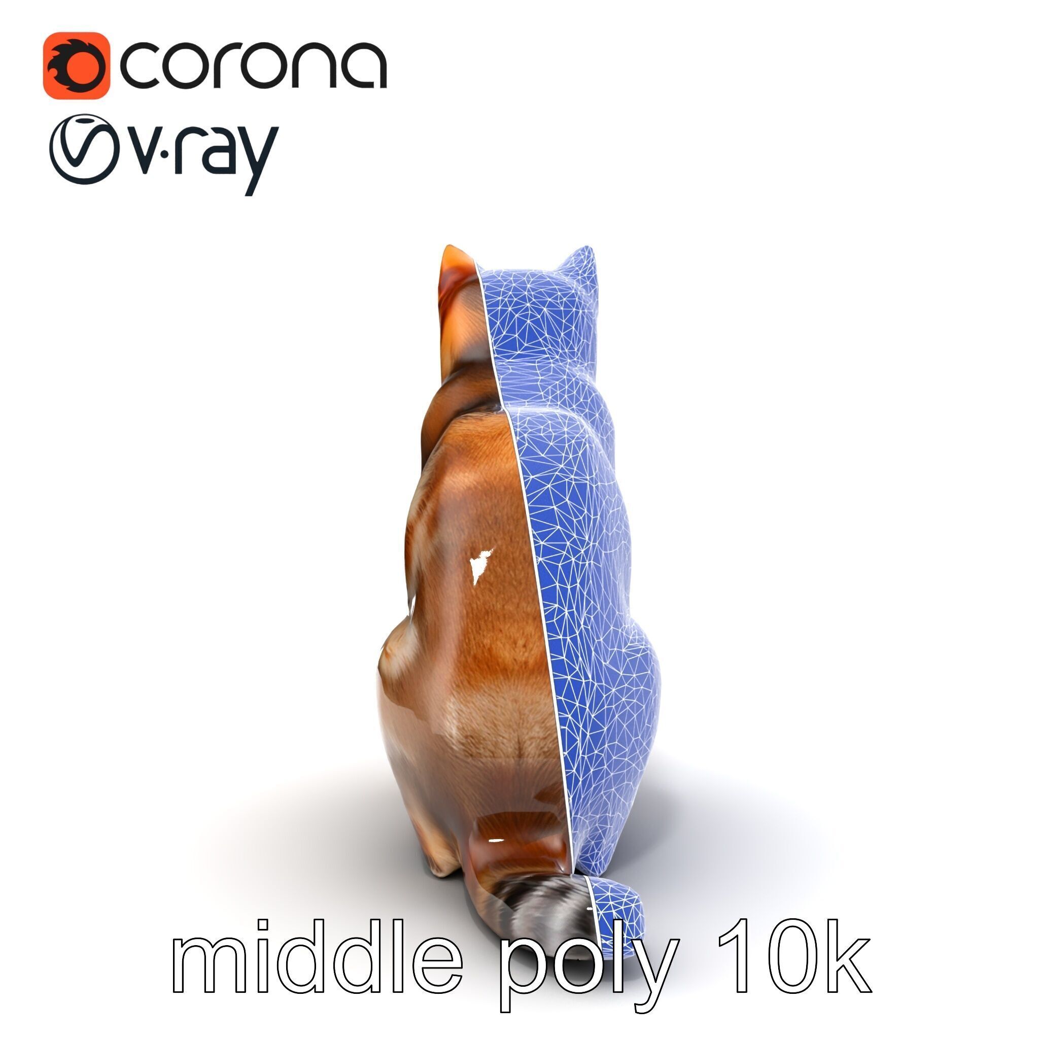 Domestic Cat Realistic D Model Pack Low-poly 3D model_25