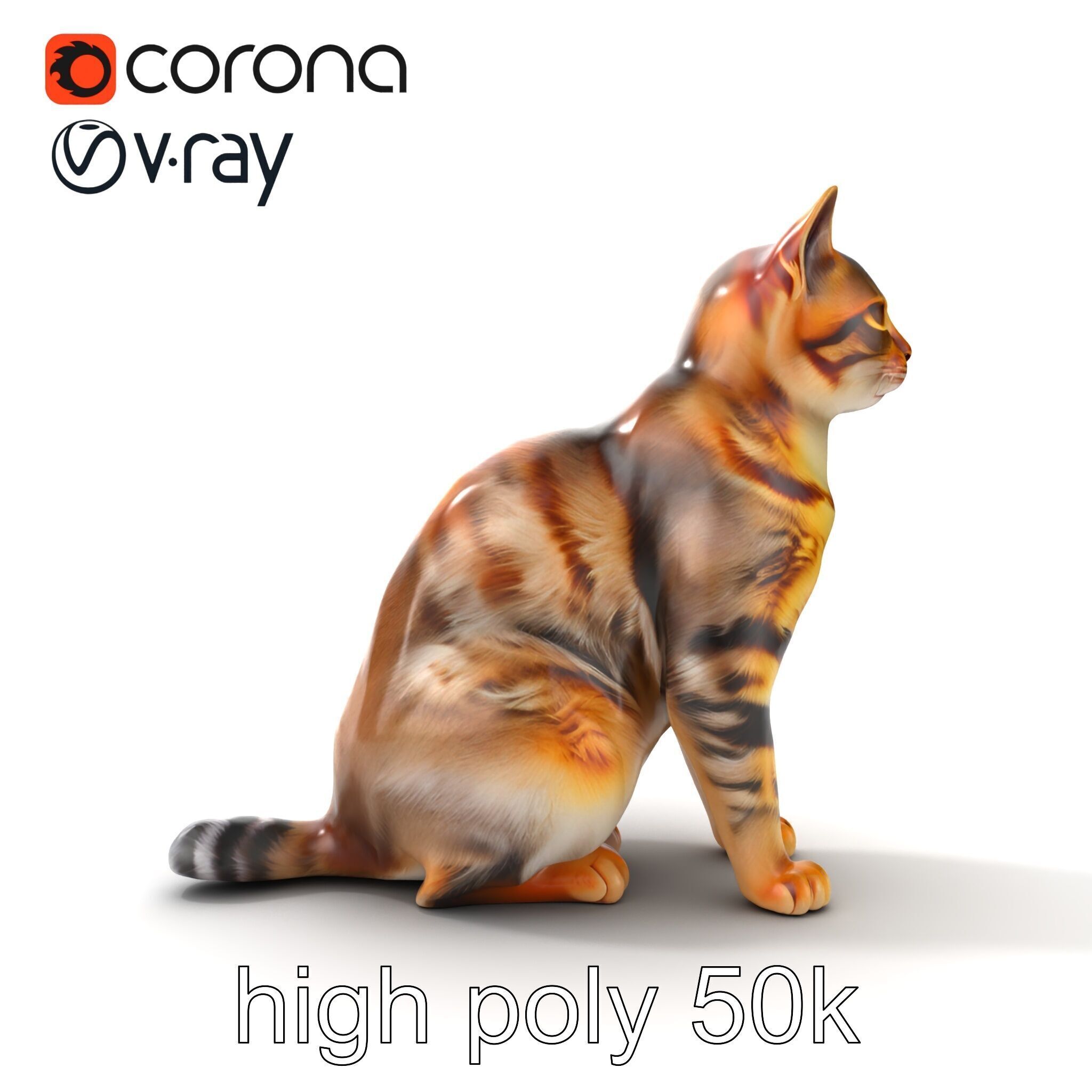 Domestic Cat Realistic D Model Pack Low-poly 3D model_24