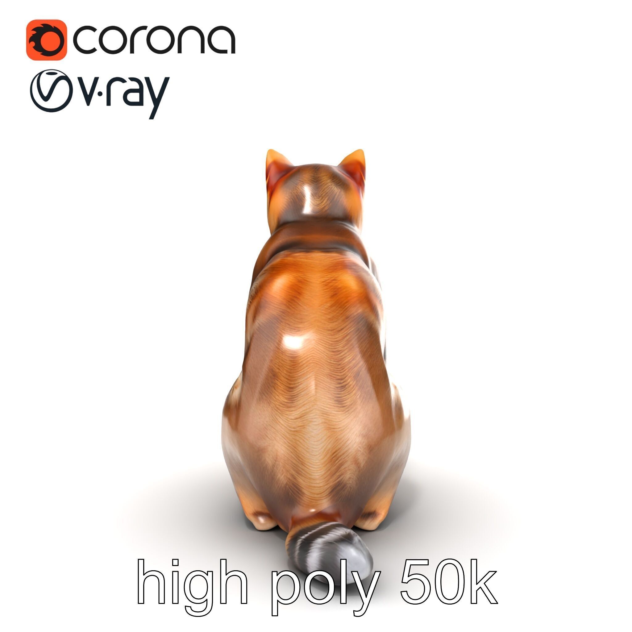 Domestic Cat Realistic D Model Pack Low-poly 3D model_29