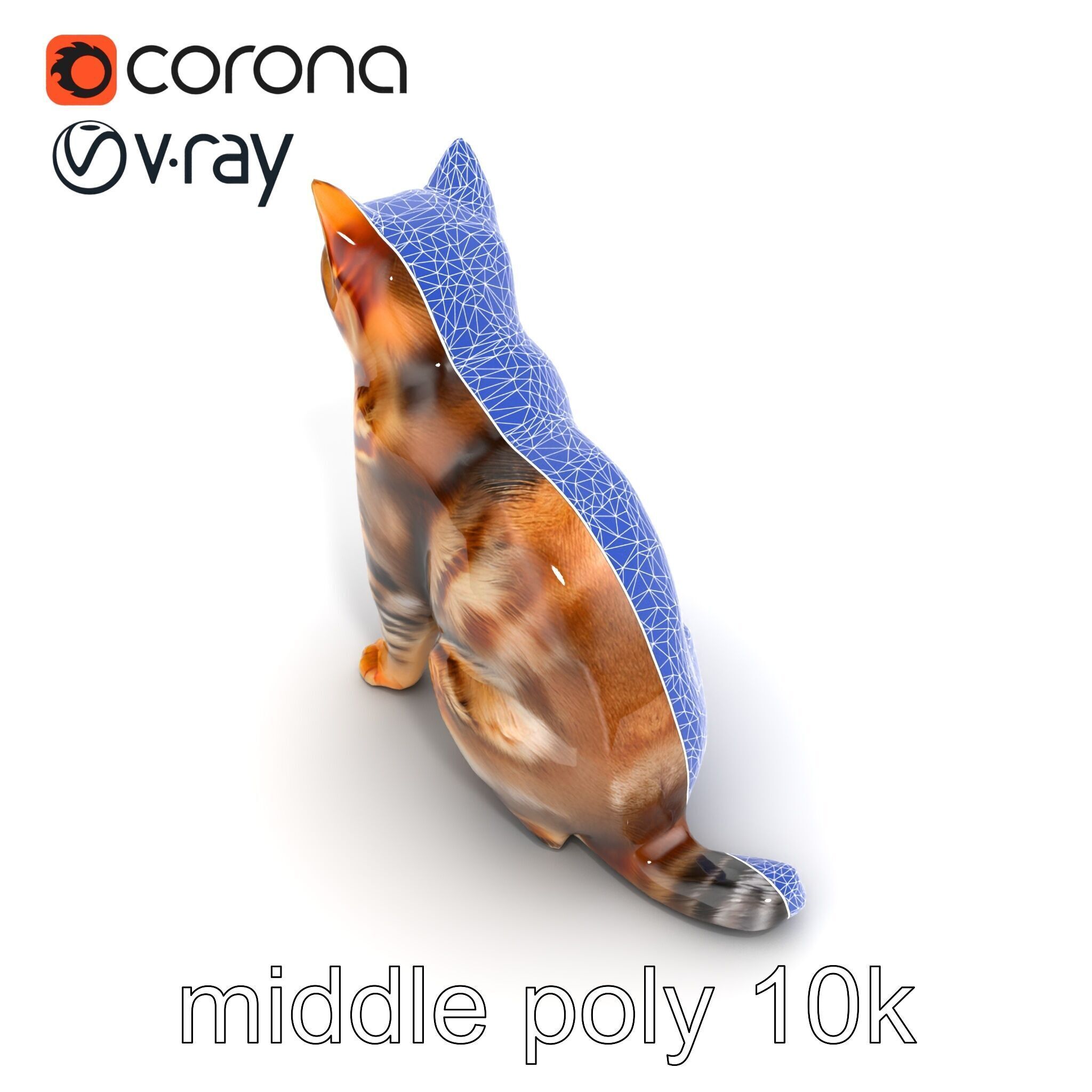 Domestic Cat Realistic D Model Pack Low-poly 3D model_19