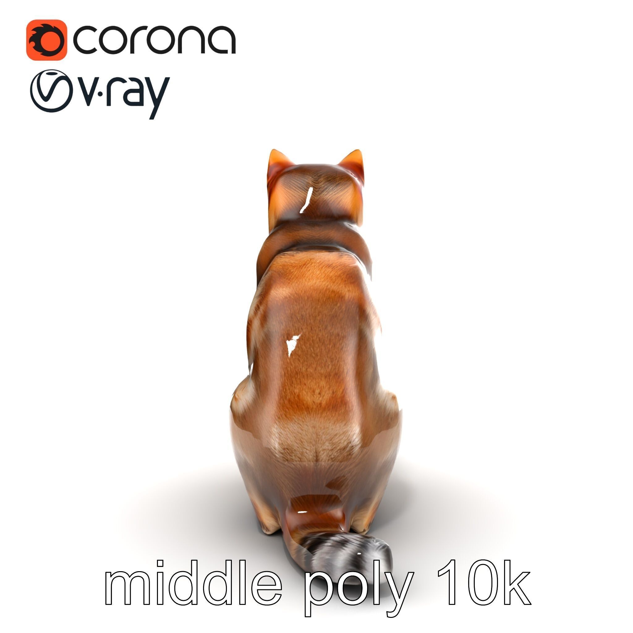 Domestic Cat Realistic D Model Pack Low-poly 3D model_14