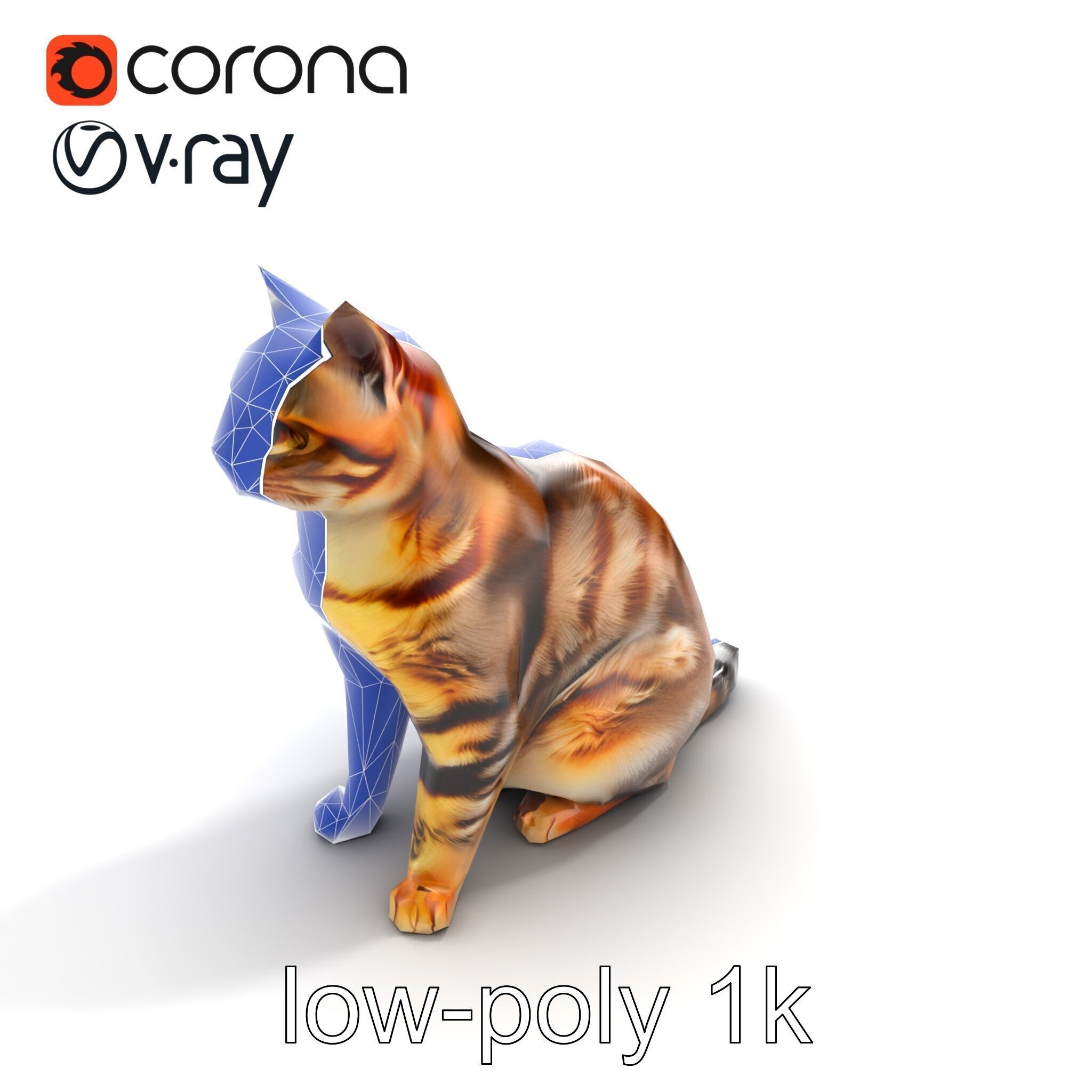 Domestic Cat Realistic D Model Pack Low-poly 3D model_11
