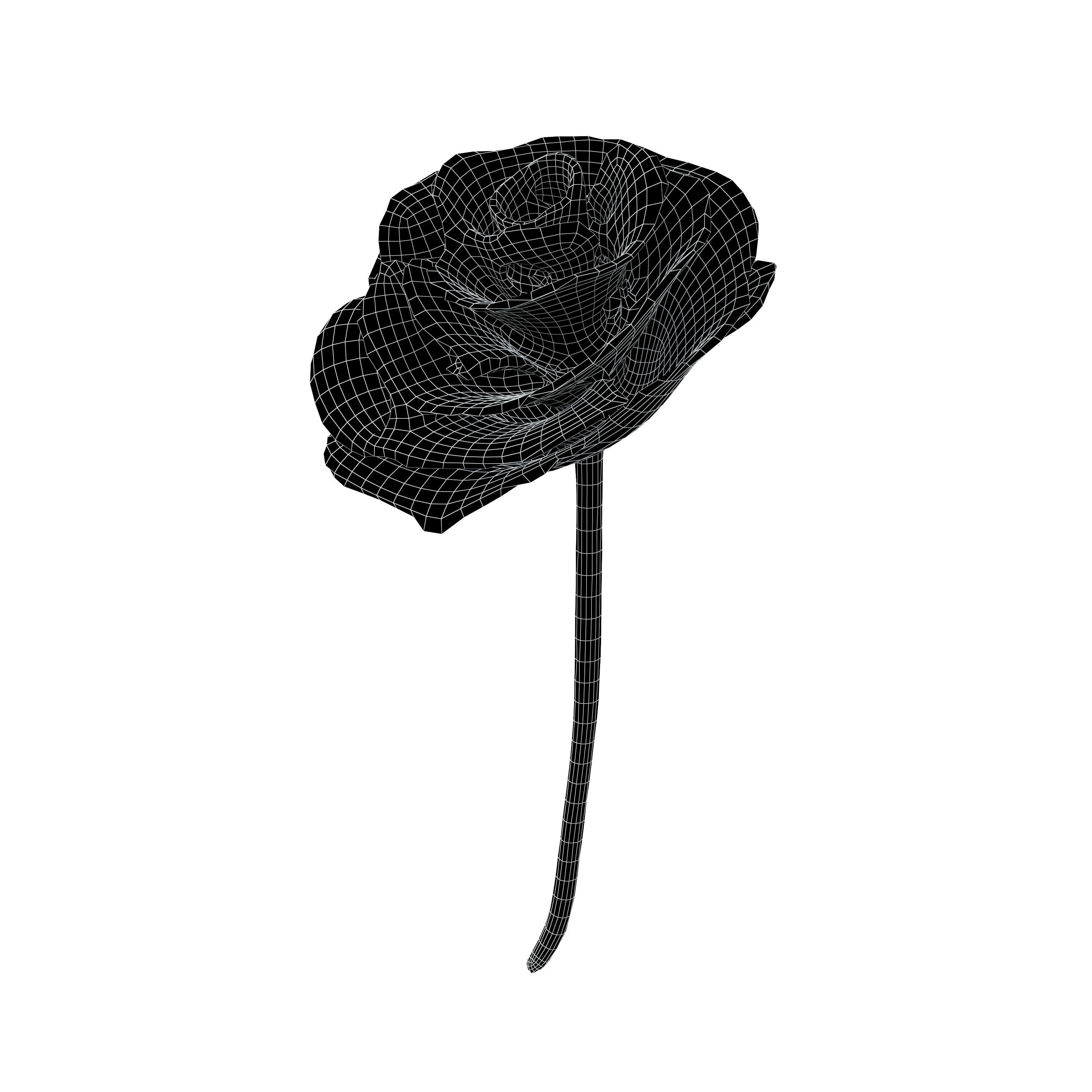 Rose v1 002 Low-poly 3D model_6