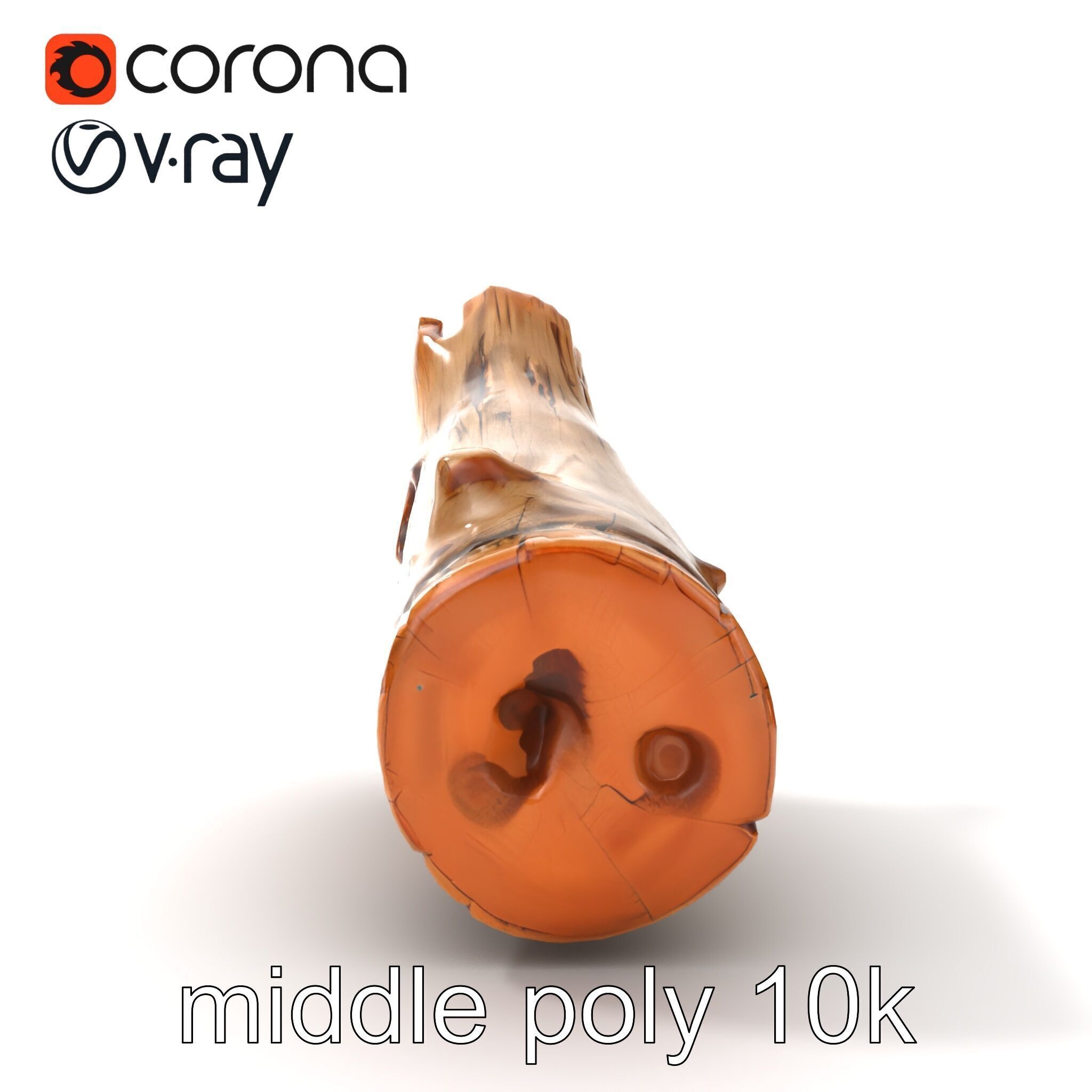 Driftwood Fossil Imprints Log model pack Texture_13