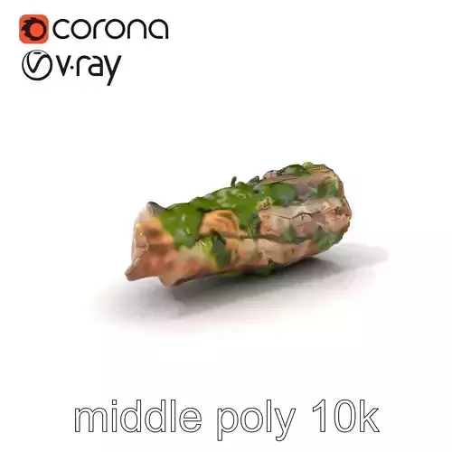 Mossy Driftwood Log Realistic Model Pack