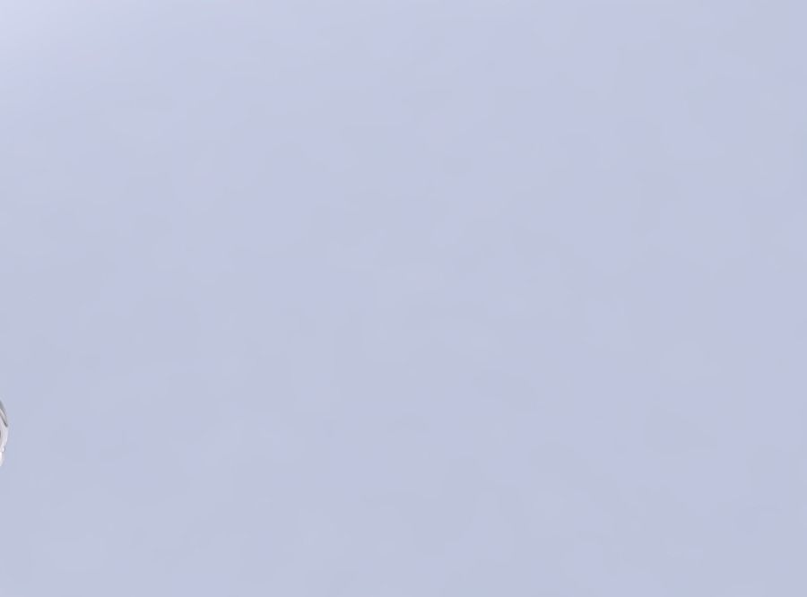 Bowl wide mid with twisted smooth cuts eccentric 3D print model_1