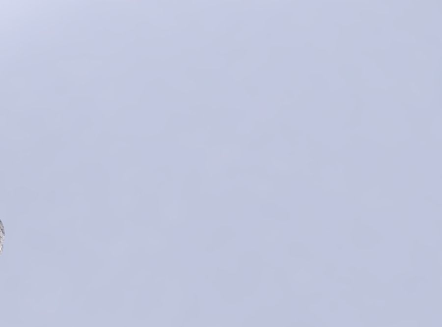 Bowl wide mid with twisted smooth cuts eccentric 3D print model_6