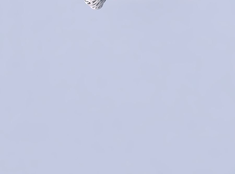 Bowl wide mid with twisted smooth cuts eccentric 3D print model_2