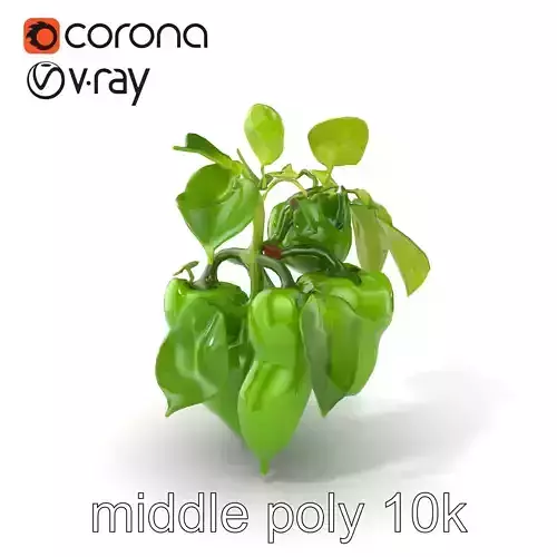Pepper Plant Vegetation Model Pack