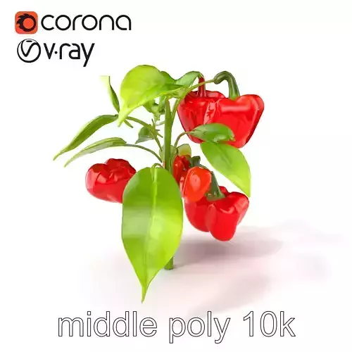 Red Pepper Plant Vegetable D Model Pack