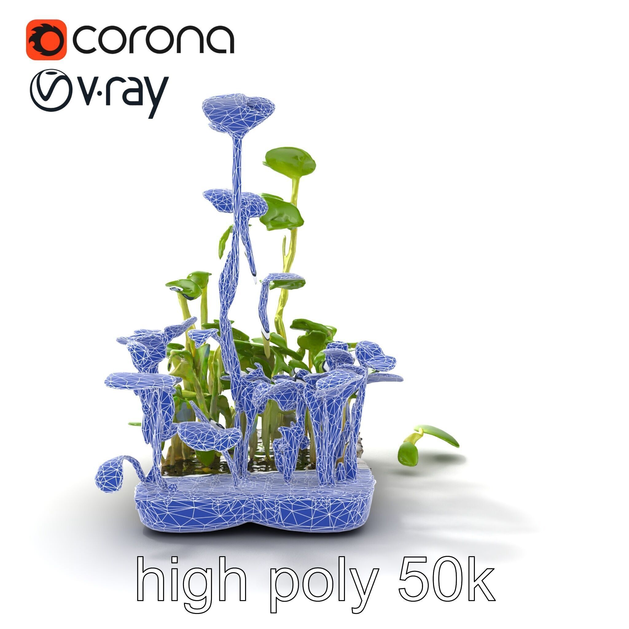 Robust Cucumber Plant Foliage Interaction model pack Low-poly 3D model_65