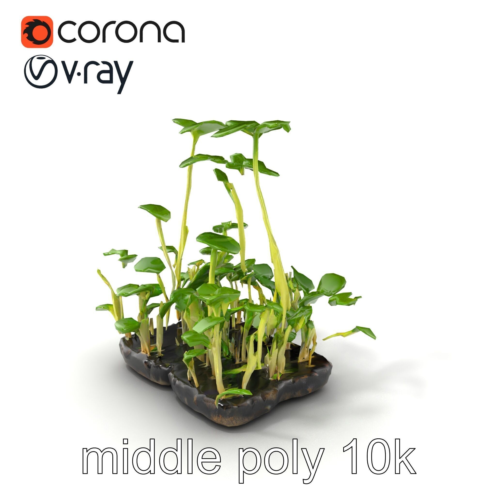 Robust Cucumber Plant Foliage Interaction model pack Low-poly 3D model_9
