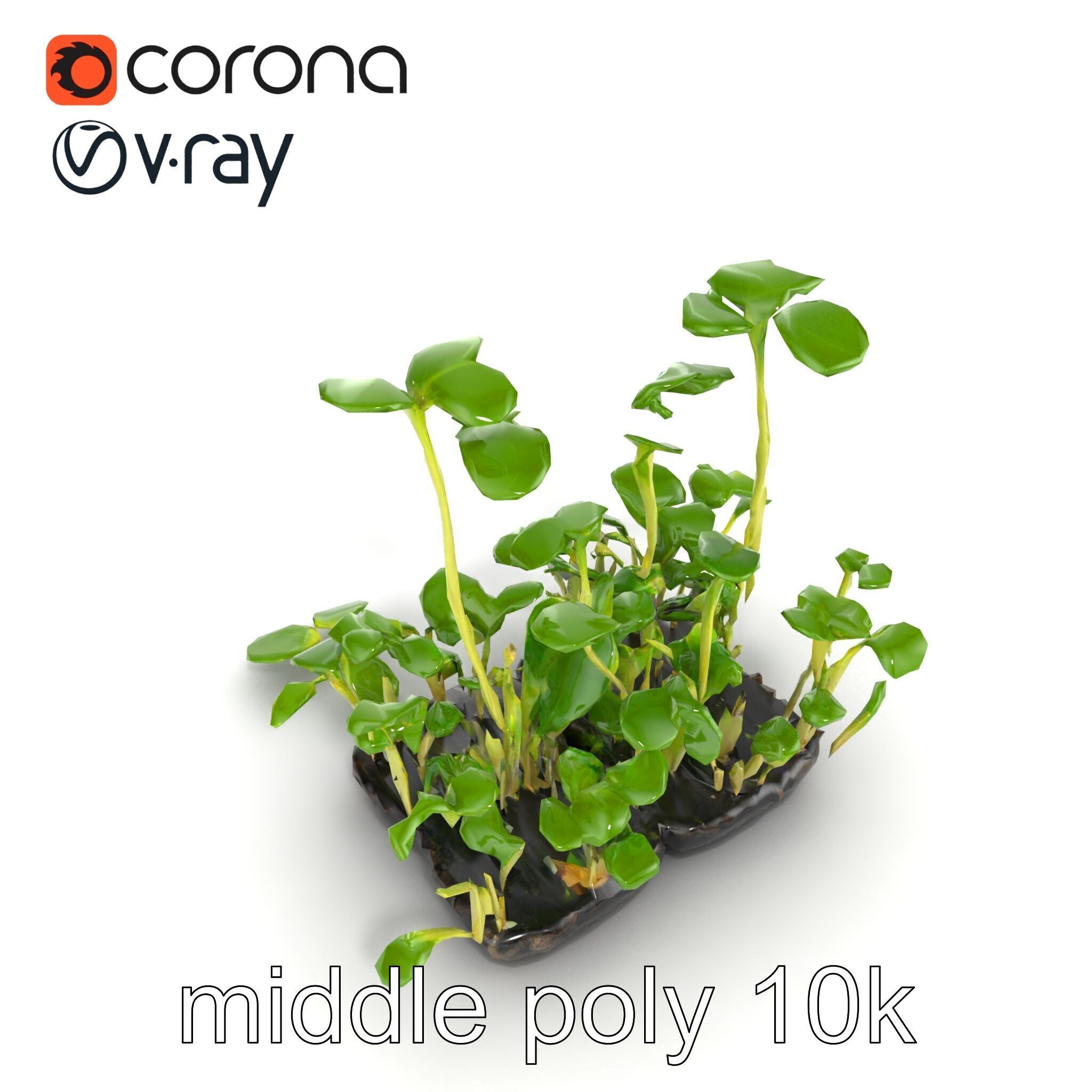 Robust Cucumber Plant Foliage Interaction model pack Low-poly 3D model_48