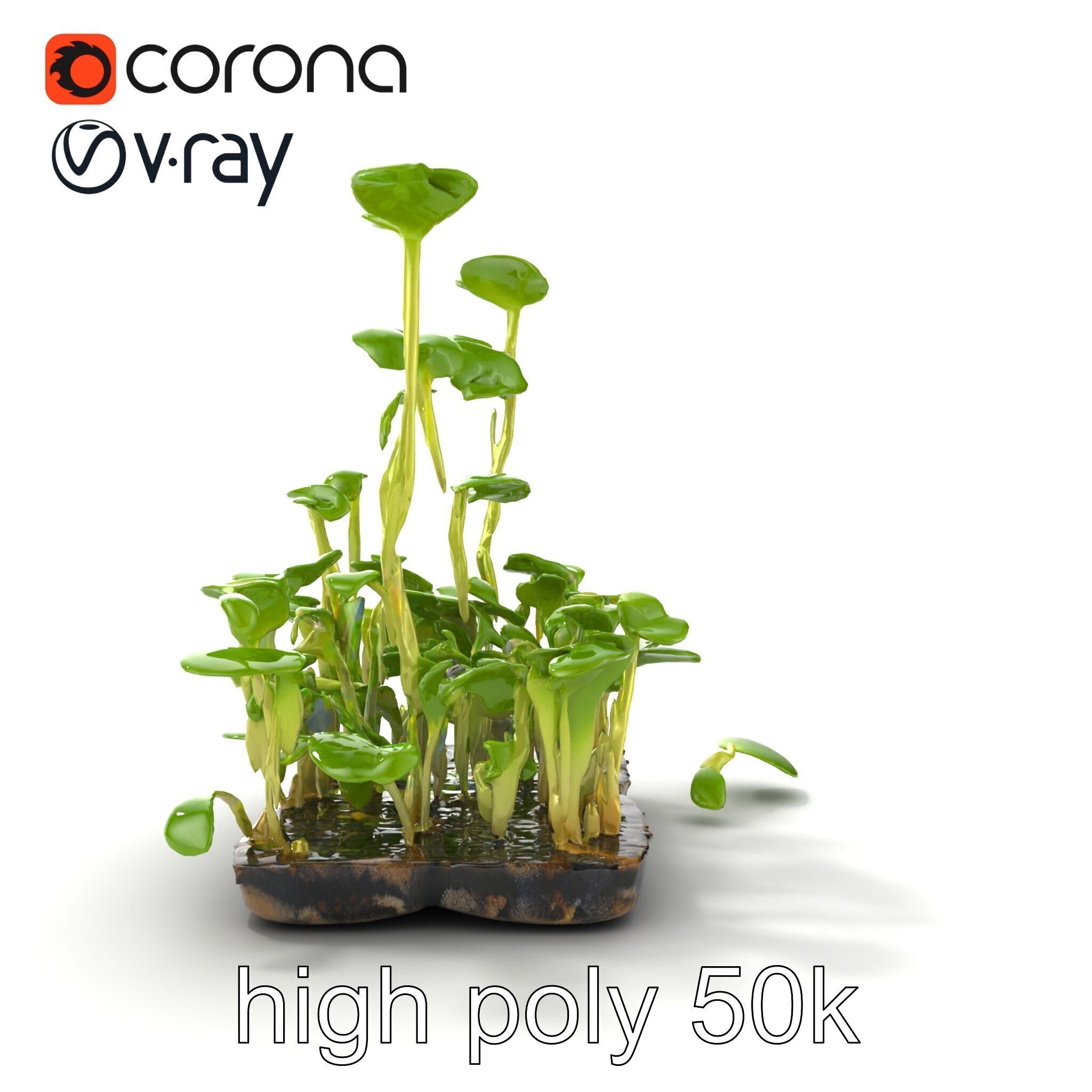 Robust Cucumber Plant Foliage Interaction model pack Low-poly 3D model_59