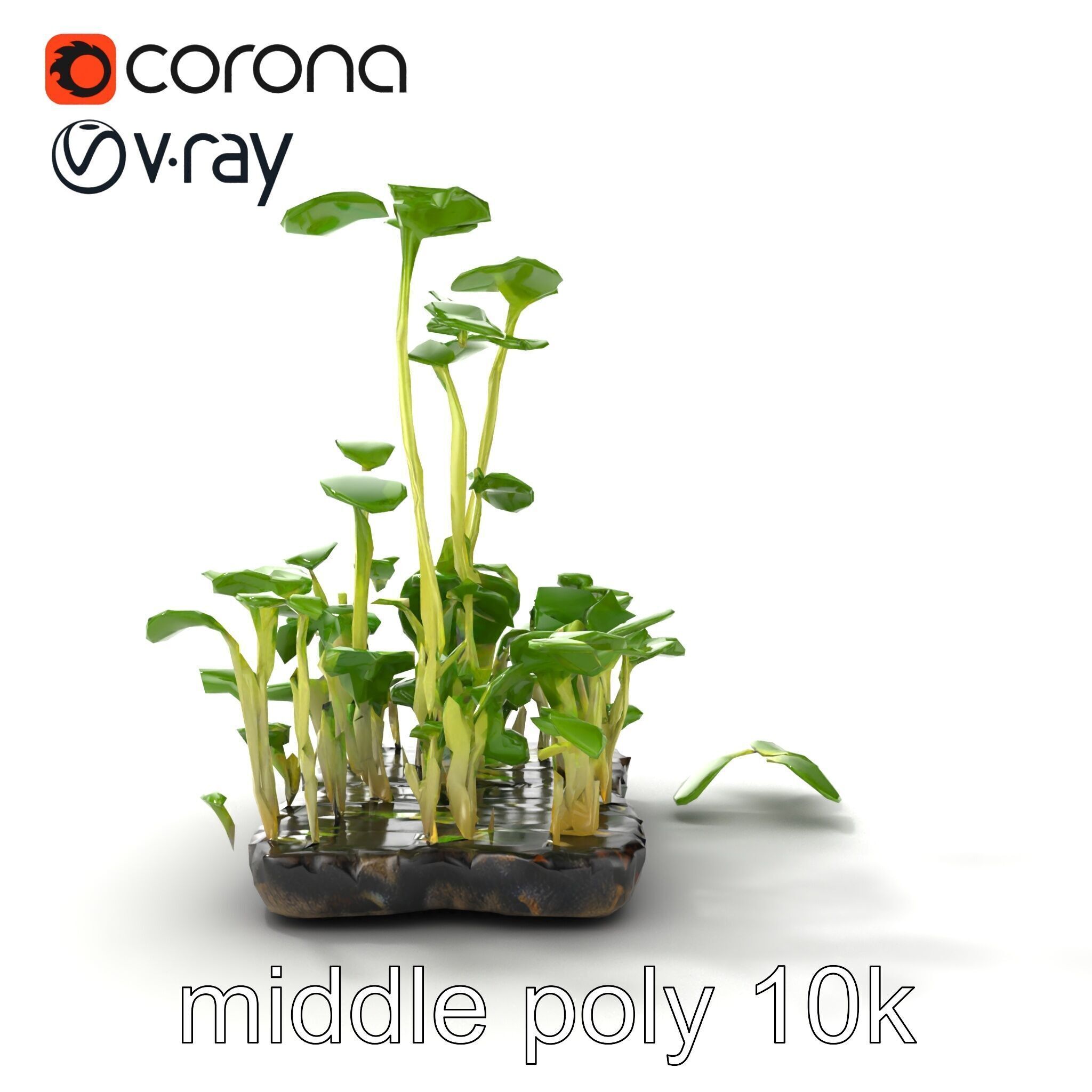 Robust Cucumber Plant Foliage Interaction model pack Low-poly 3D model_54