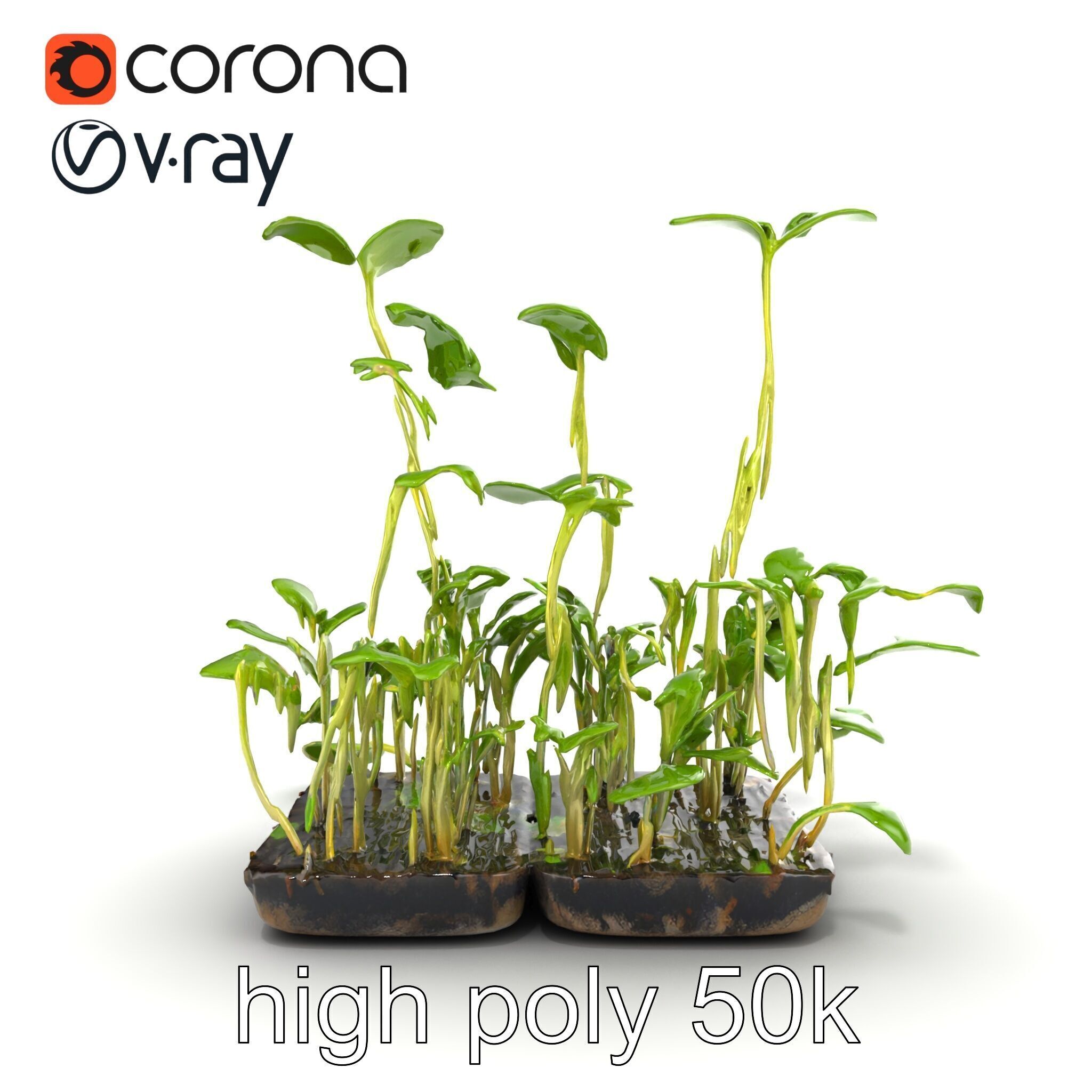 Robust Cucumber Plant Foliage Interaction model pack Low-poly 3D model_60