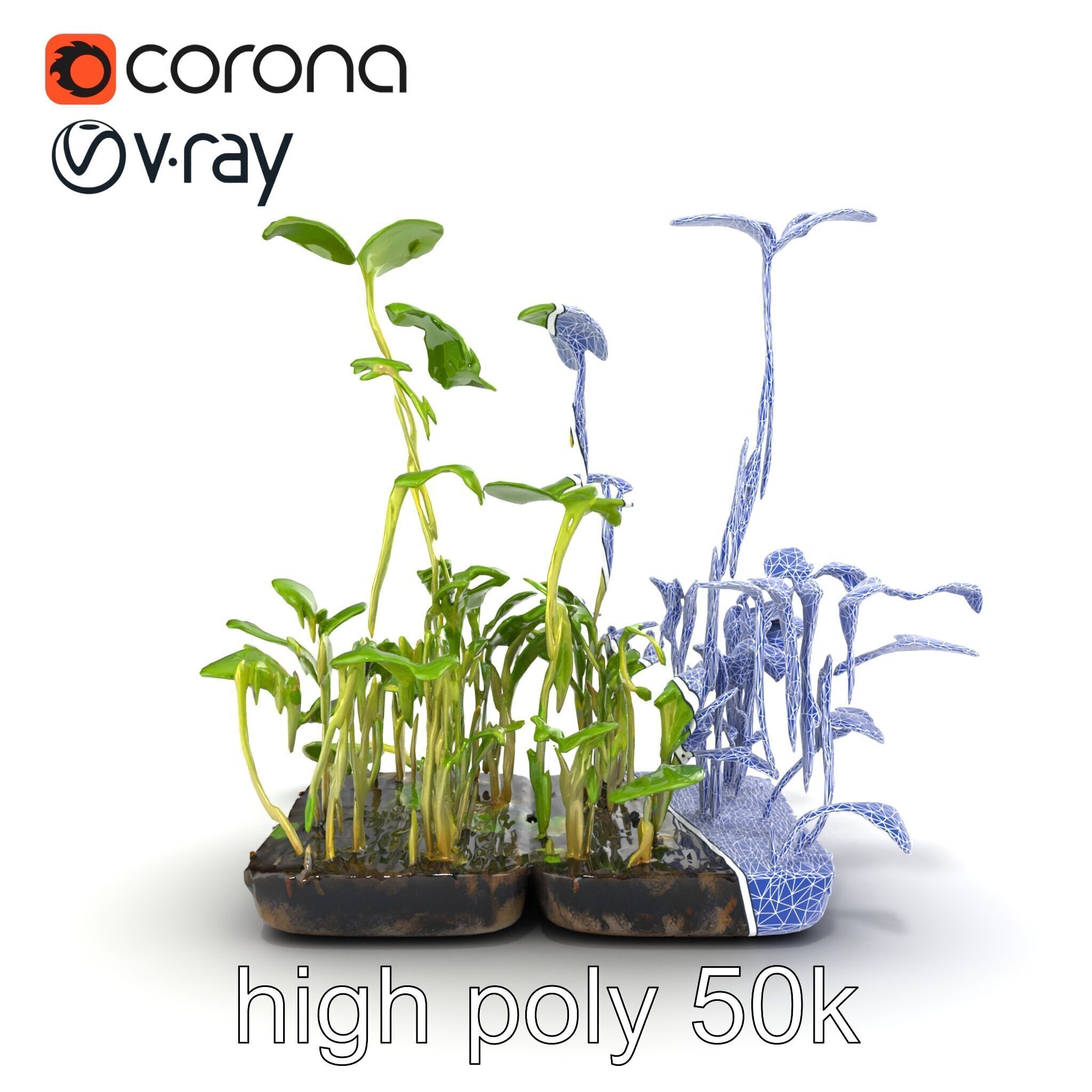 Robust Cucumber Plant Foliage Interaction model pack Low-poly 3D model_56