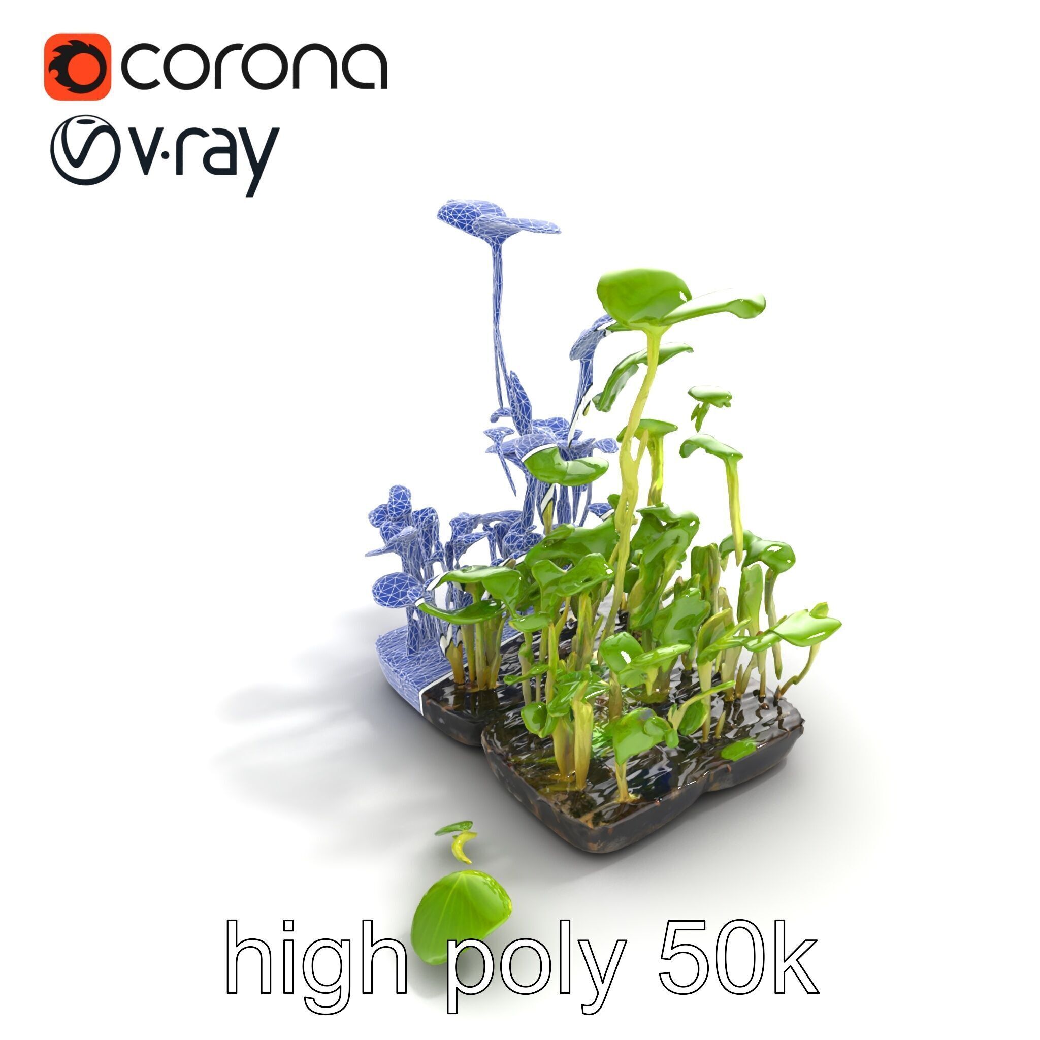 Robust Cucumber Plant Foliage Interaction model pack Low-poly 3D model_51