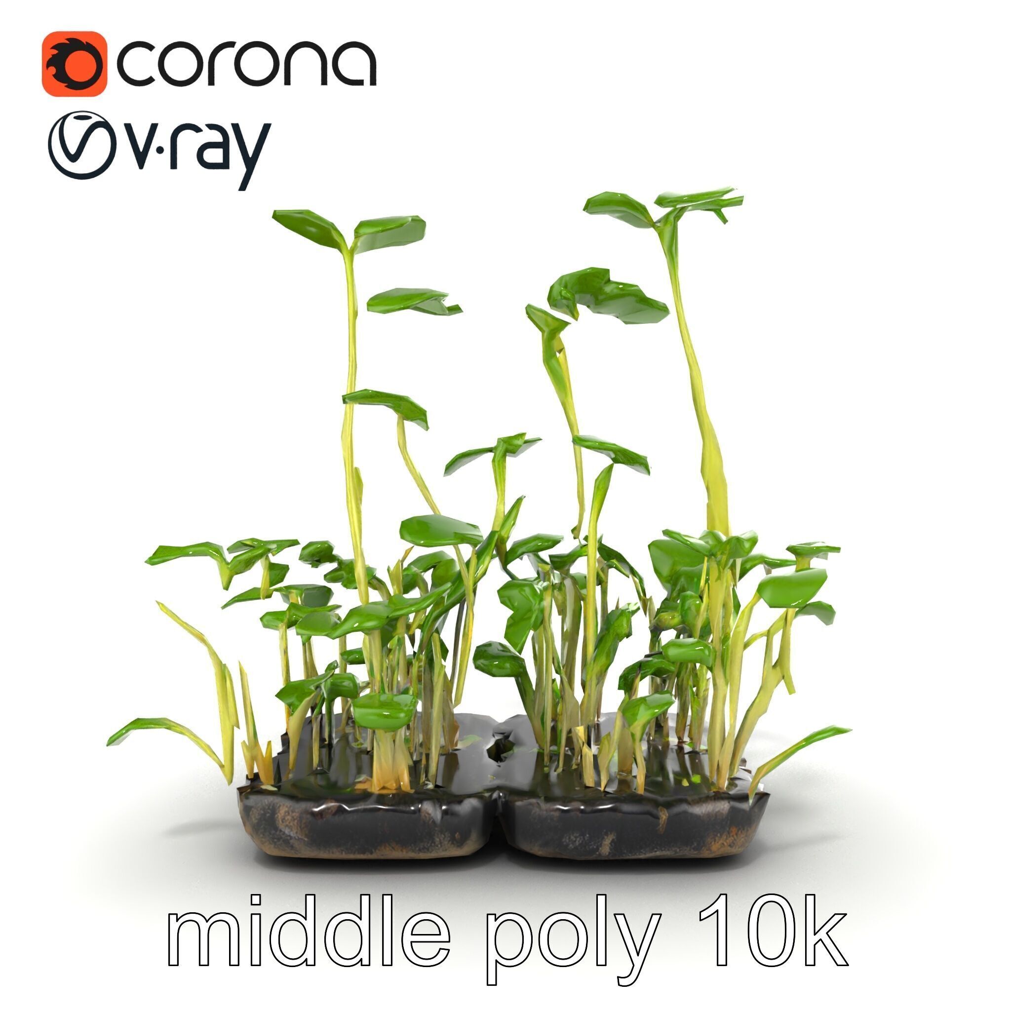 Robust Cucumber Plant Foliage Interaction model pack Low-poly 3D model_57