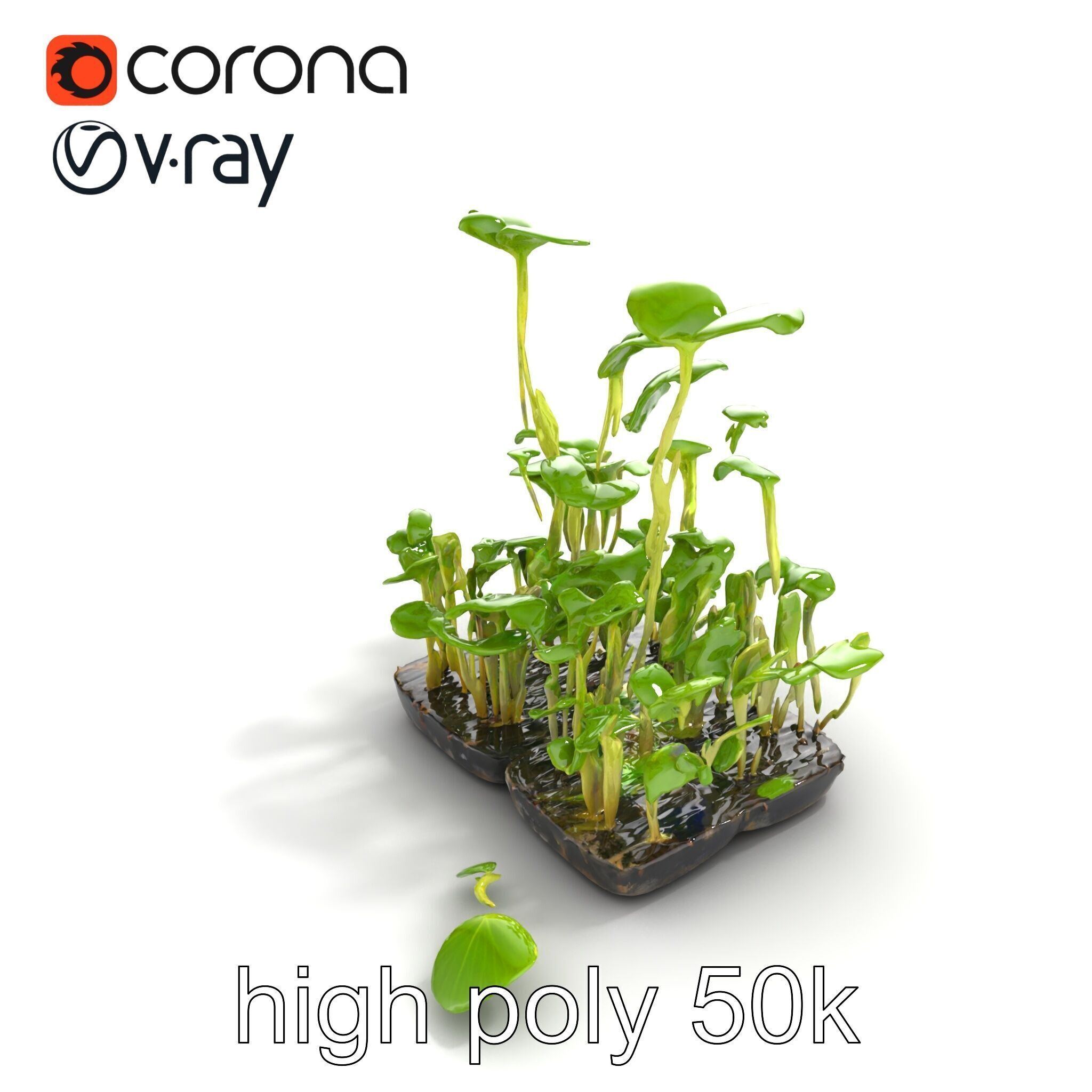 Robust Cucumber Plant Foliage Interaction model pack Low-poly 3D model_49