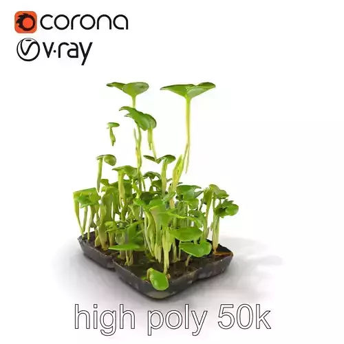 Robust Cucumber Plant Foliage Interaction model pack