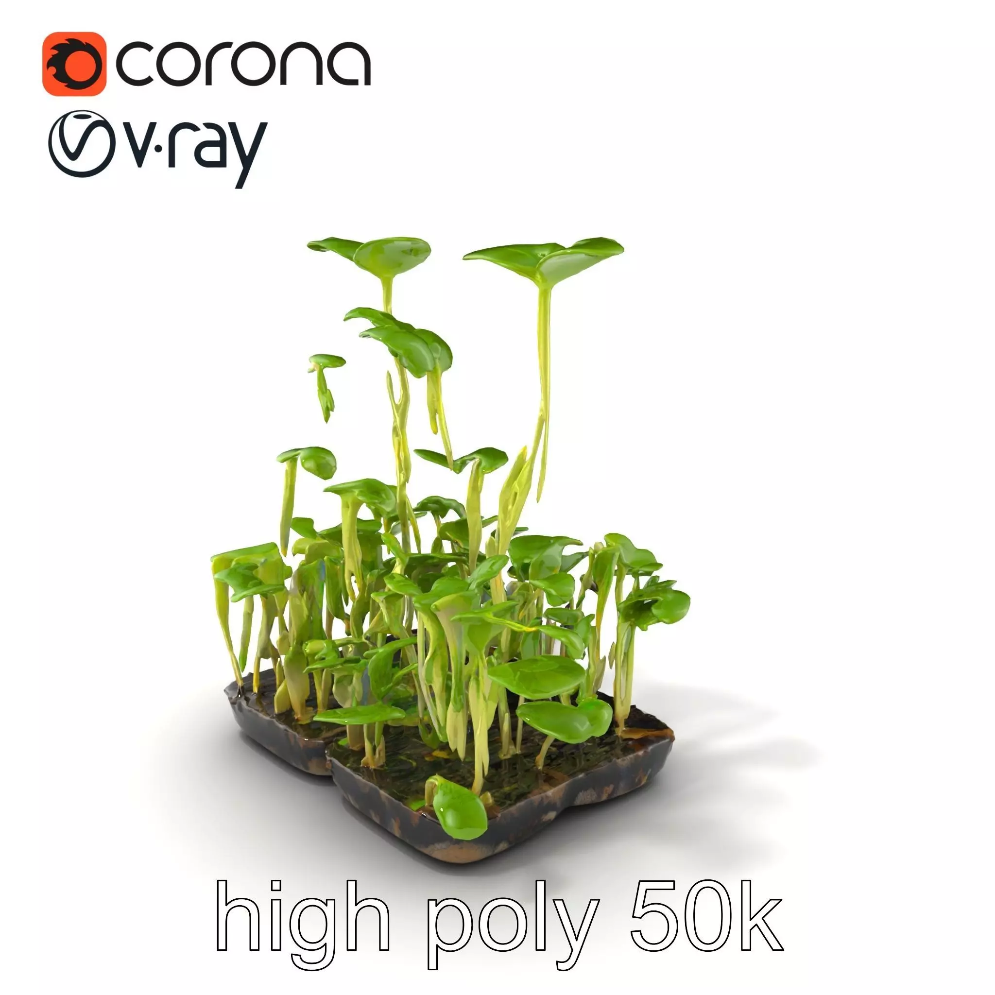 Robust Cucumber Plant Foliage Interaction model pack Low-poly 3D model_0