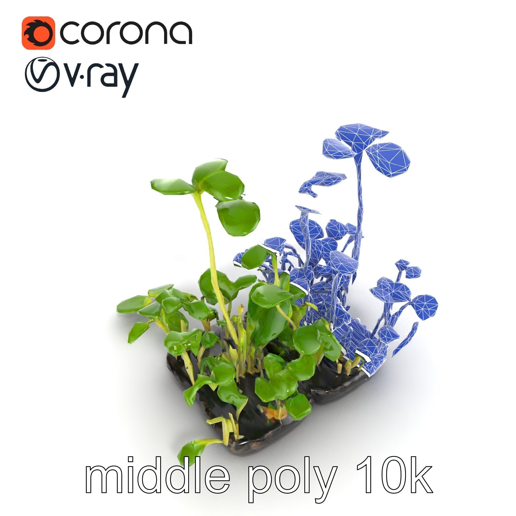 Robust Cucumber Plant Foliage Interaction model pack Low-poly 3D model_52