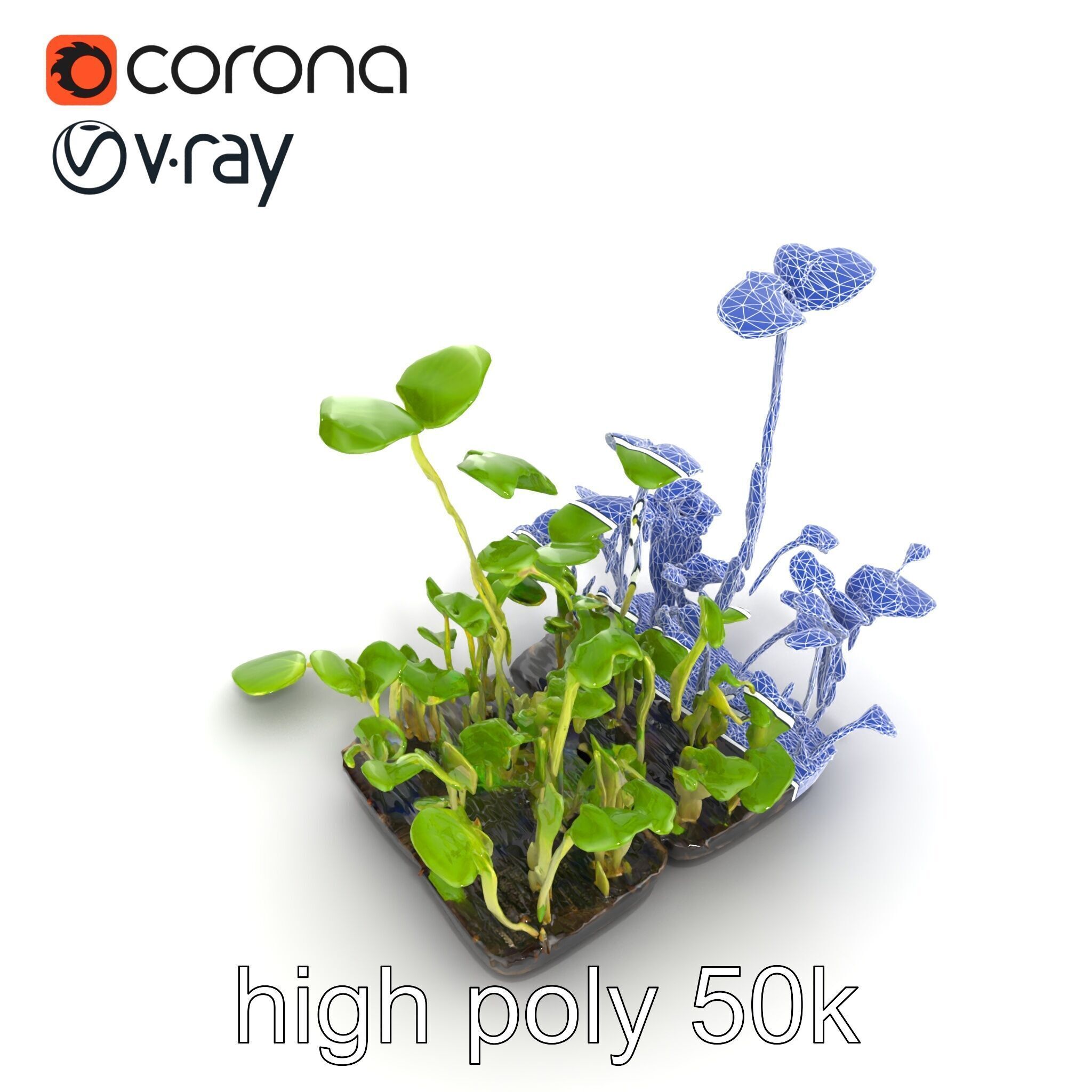 Robust Cucumber Plant Foliage Interaction model pack Low-poly 3D model_61