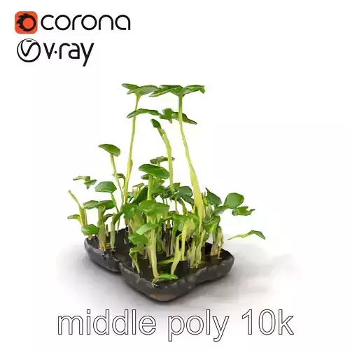 Vegetable Seedlings Realistic Texture model pack Low-poly 3D model