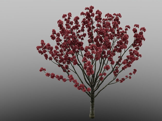 Red peach blossom plant model 3D model